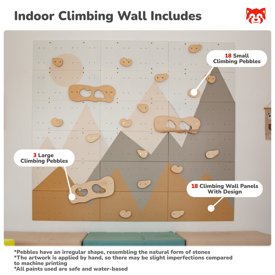 Indoor Climbing Wall