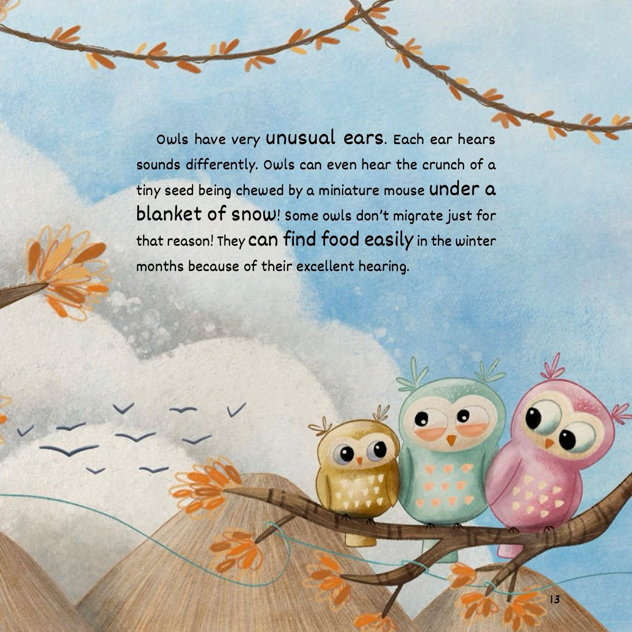 Who Hears The Best? | Islamic Children's Book