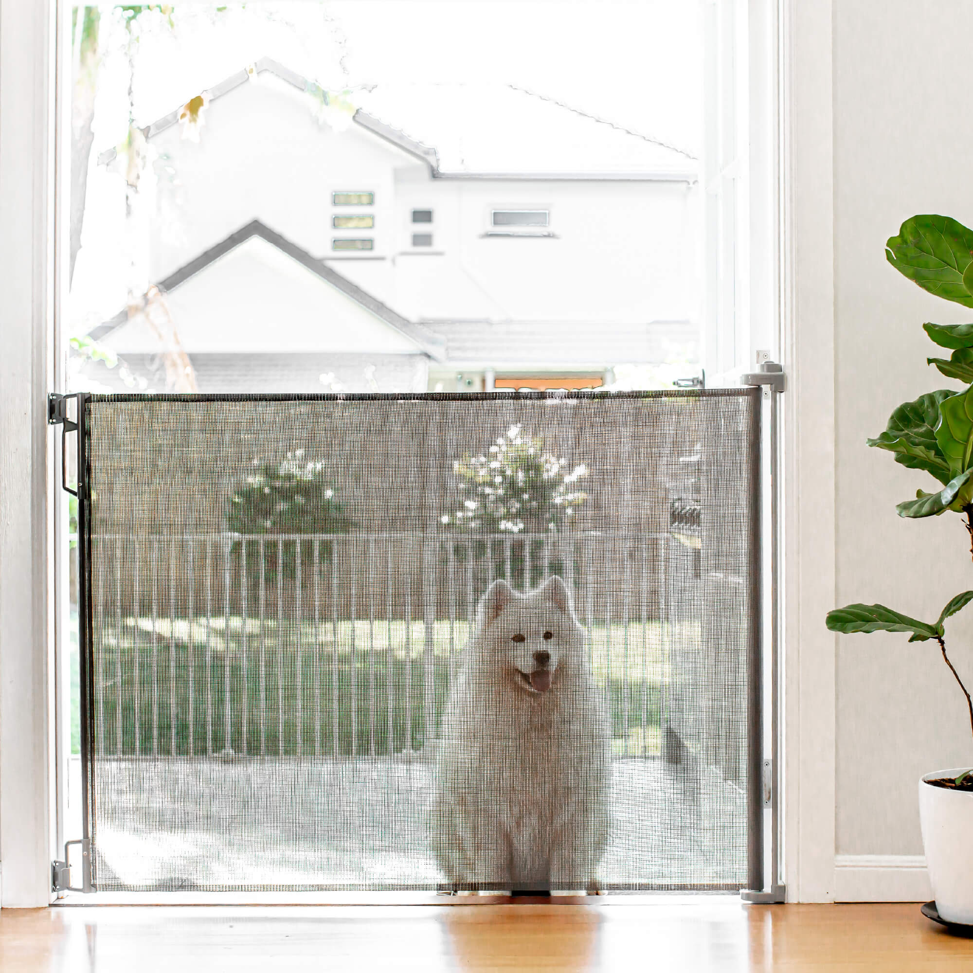 Retractable Baby Gate | 71" W X 41" H | Refurb | No Returns