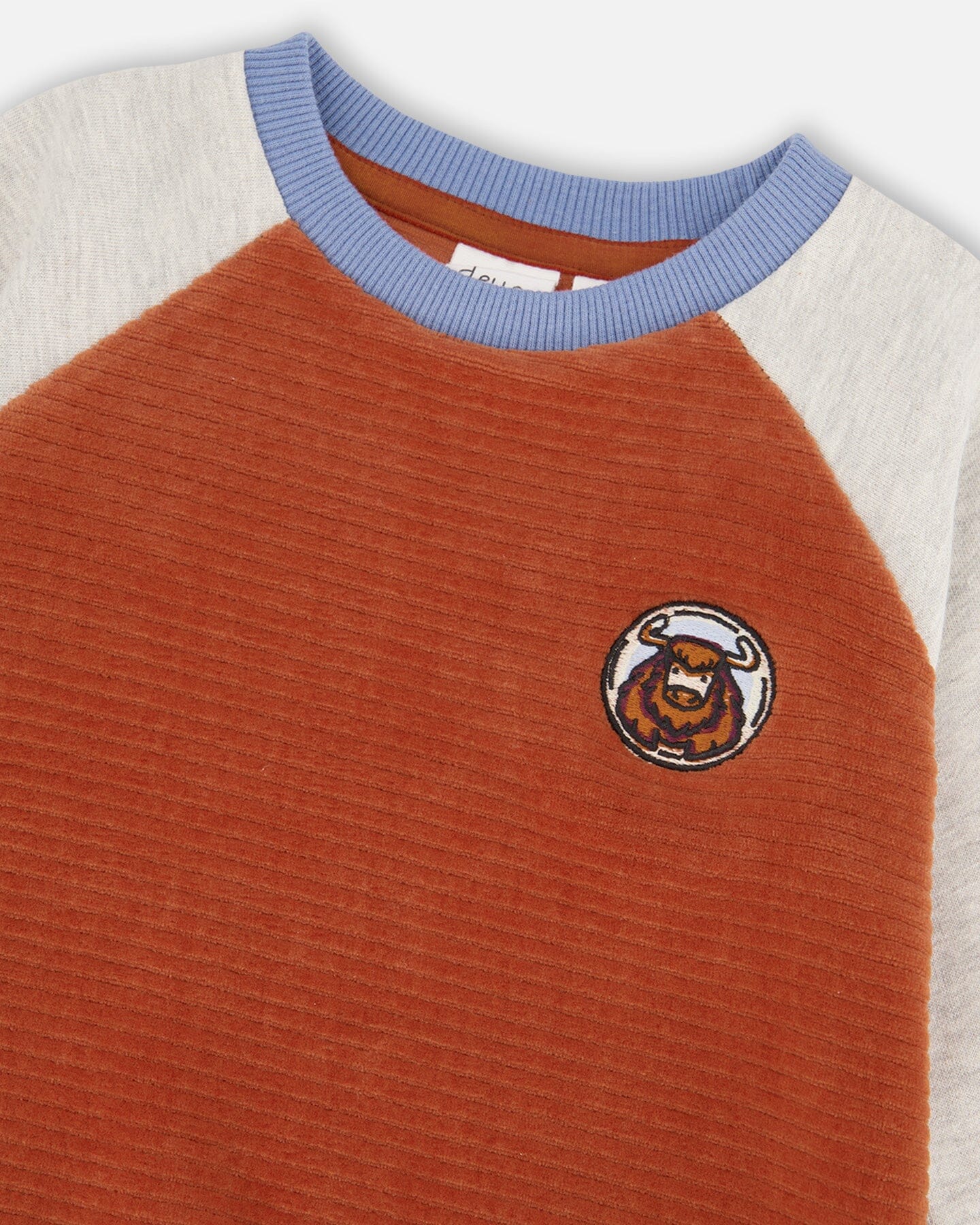 Color Block Raglan Velvet Rib Sweatshirt Burnt Orange