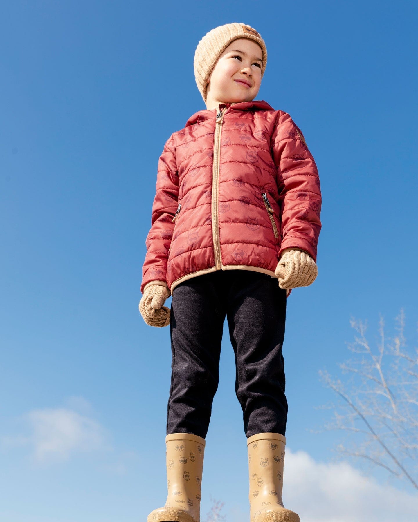 Quilted Mid-season Jacket Printed Dogs Rust