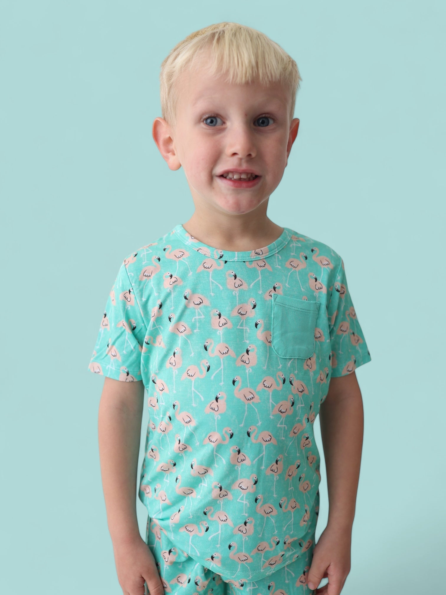 Mingling Mingos Dream Pocket Tee