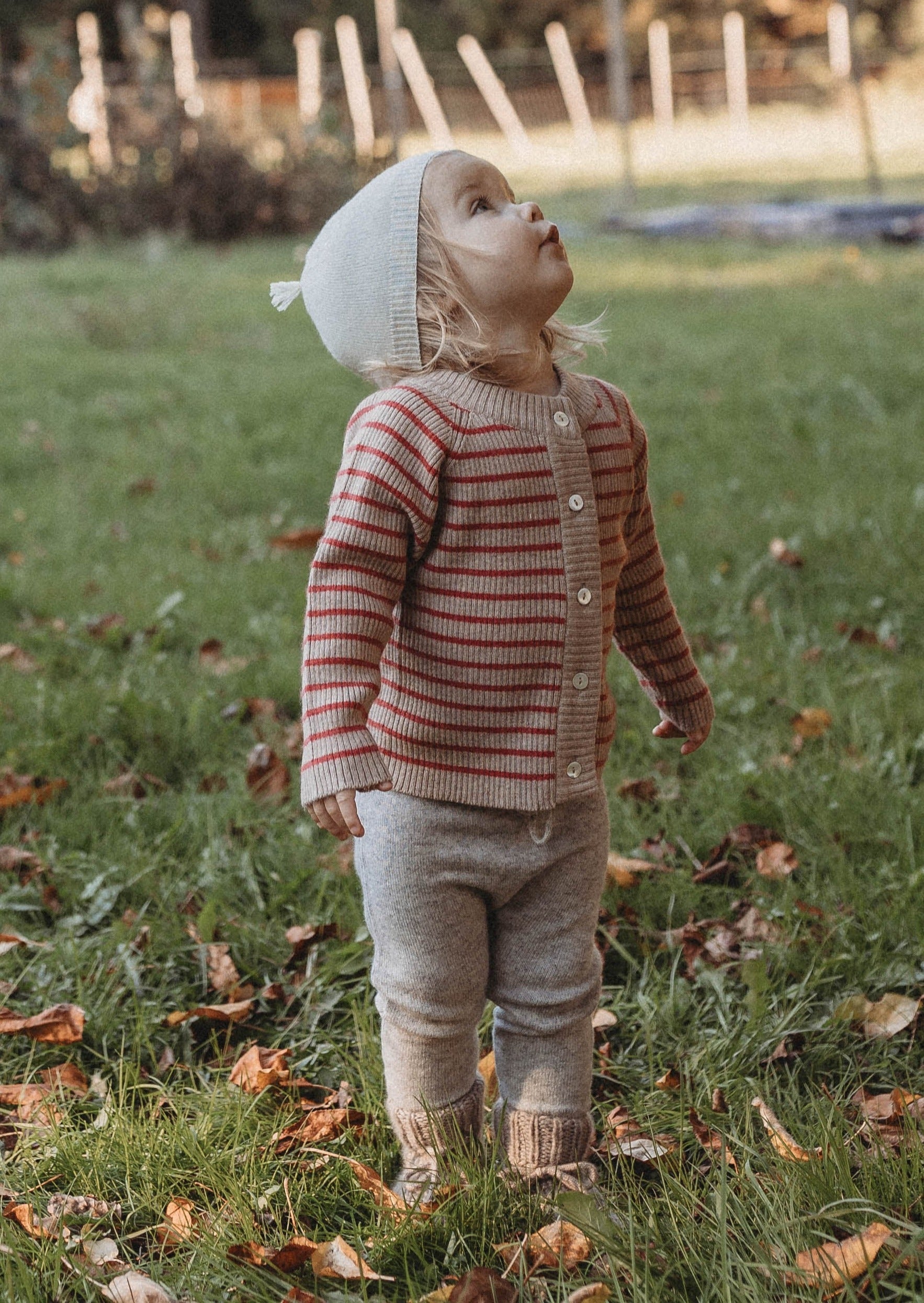 Cashmere Cardigan | Red/beige