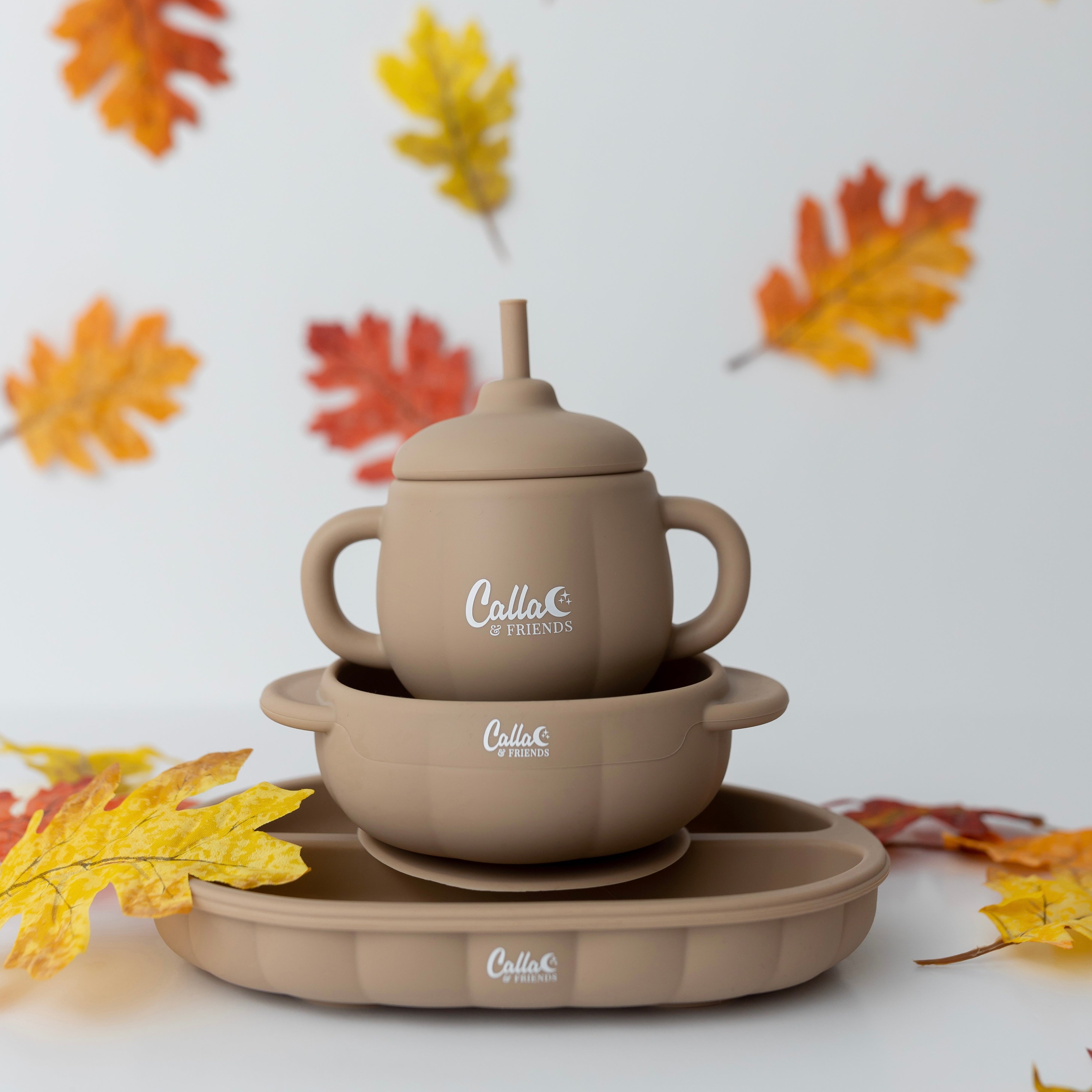 The Pumpkin Patch Suction Plate