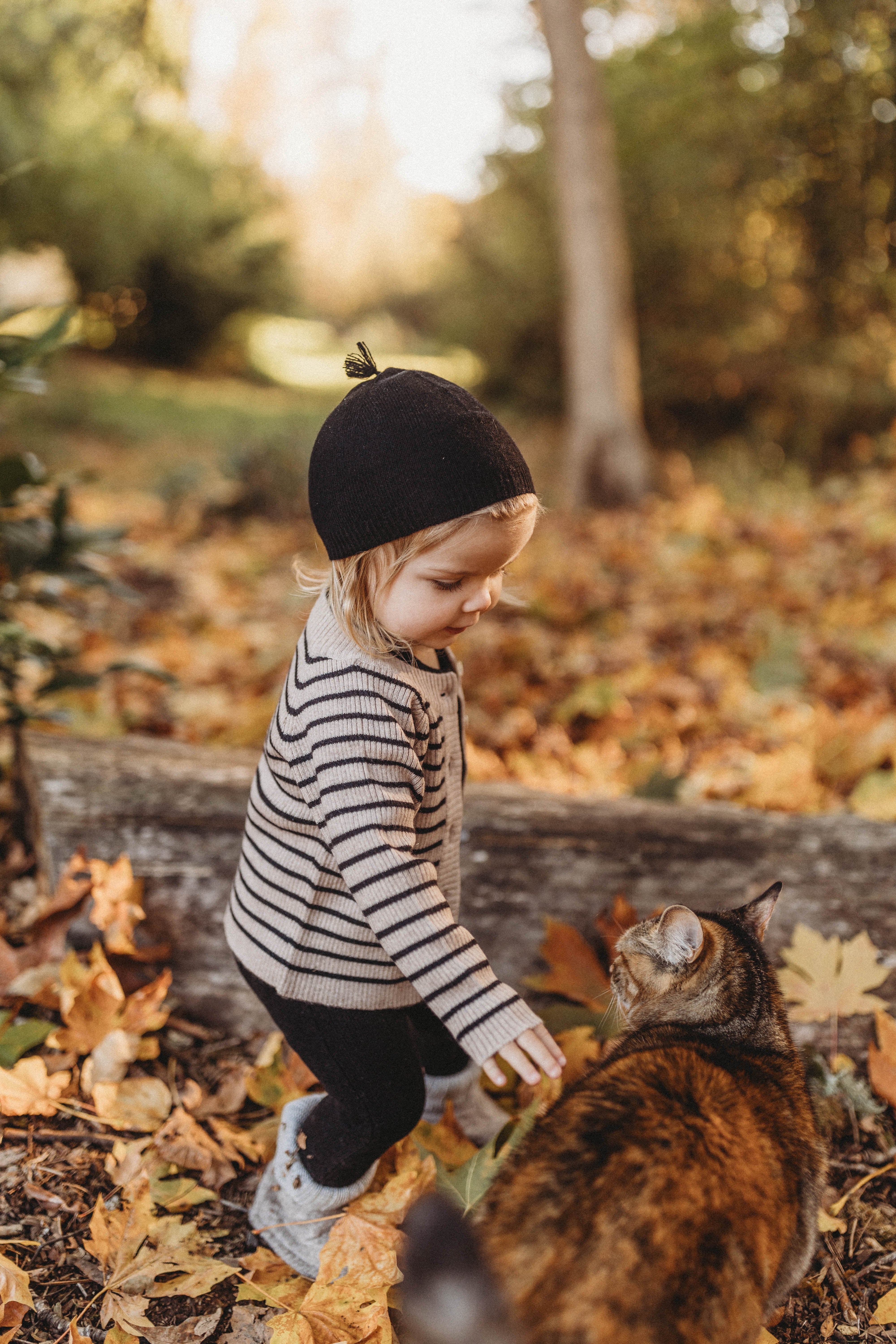Cashmere Cardigan | Black/beige