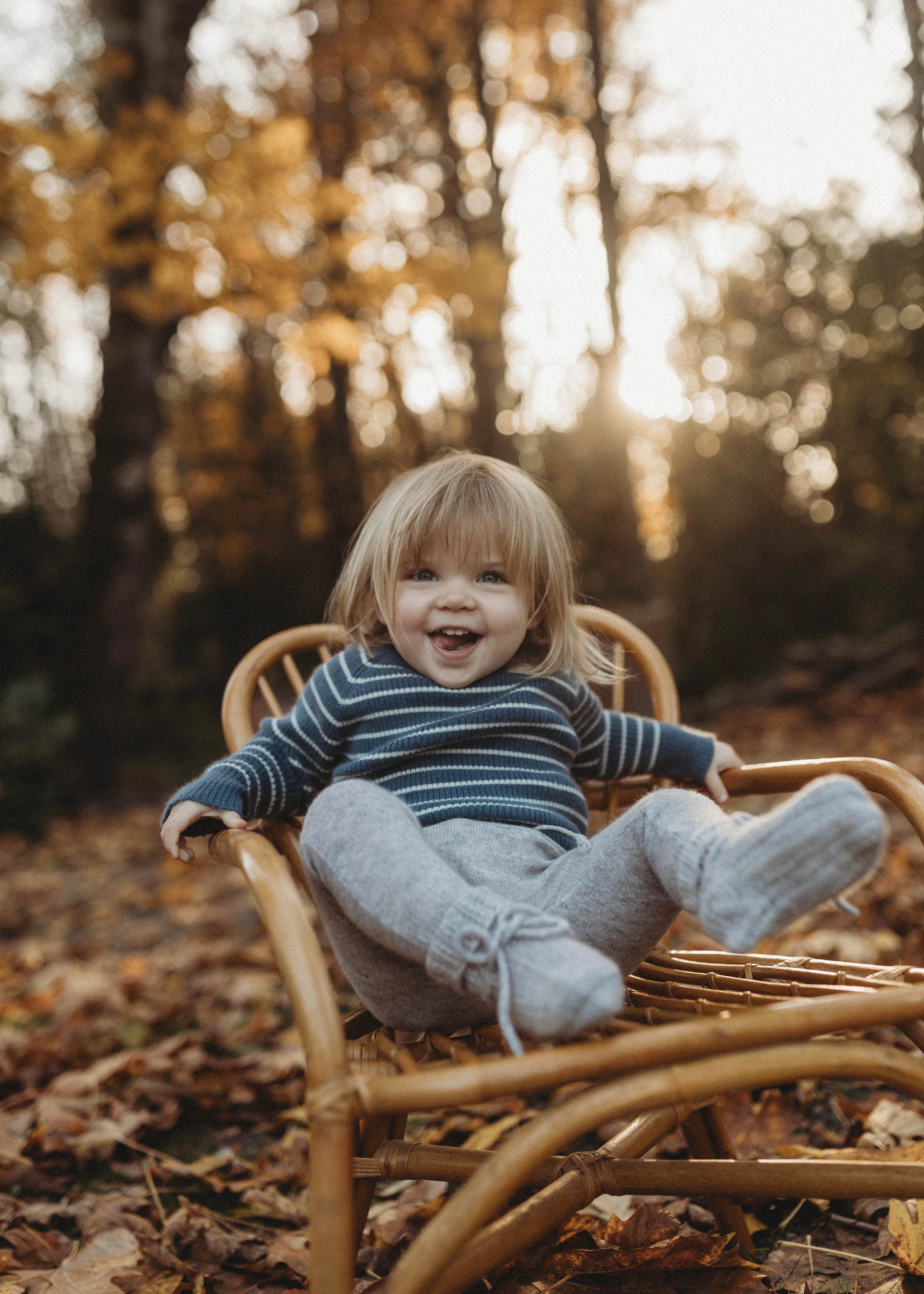 Cashmere Sweater | Navy/creme
