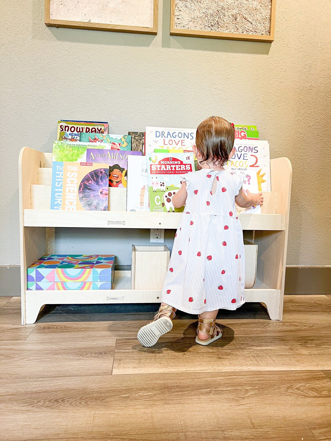 Frank- Toy Shelf