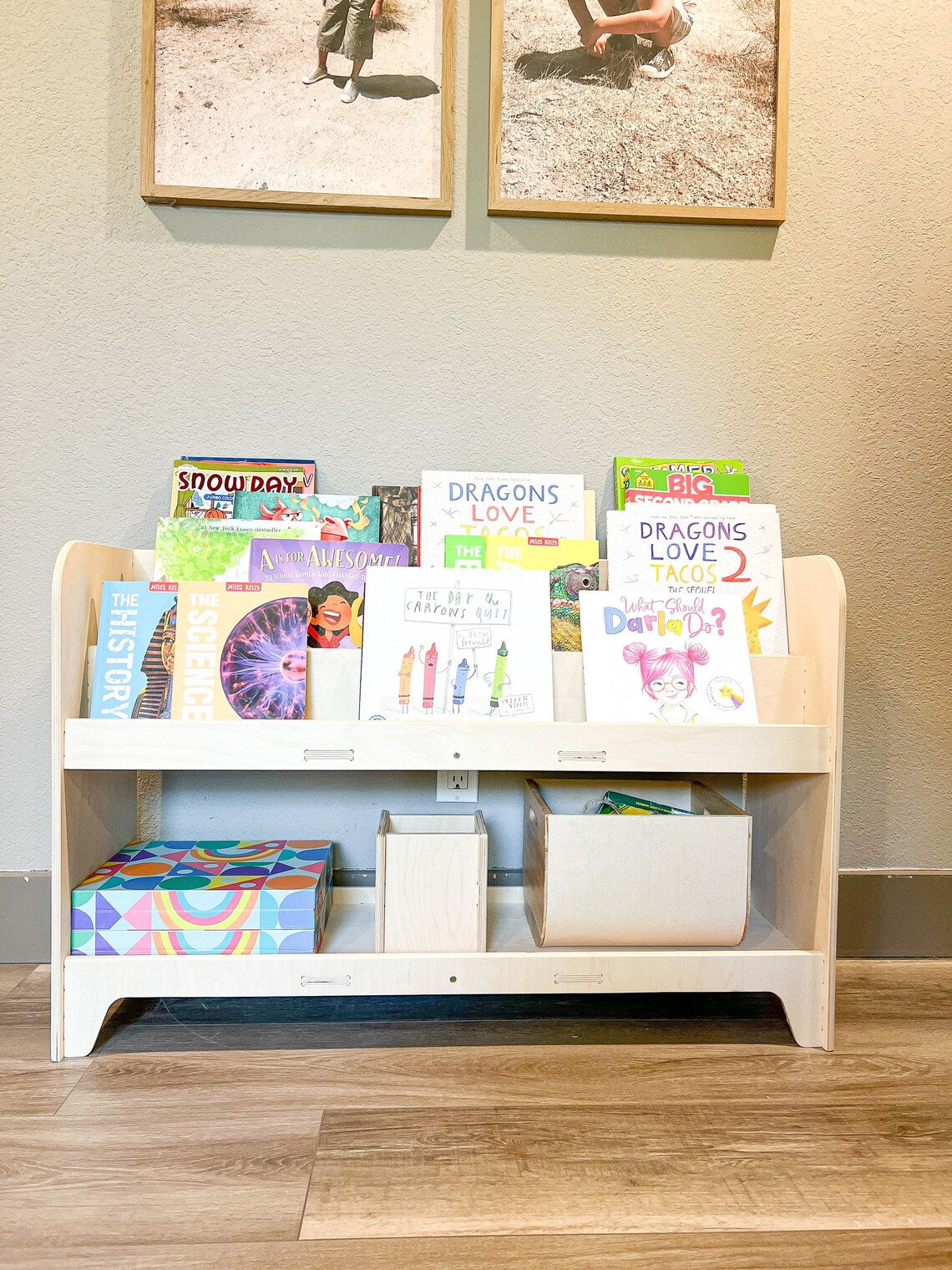 Frank- Toy Shelf