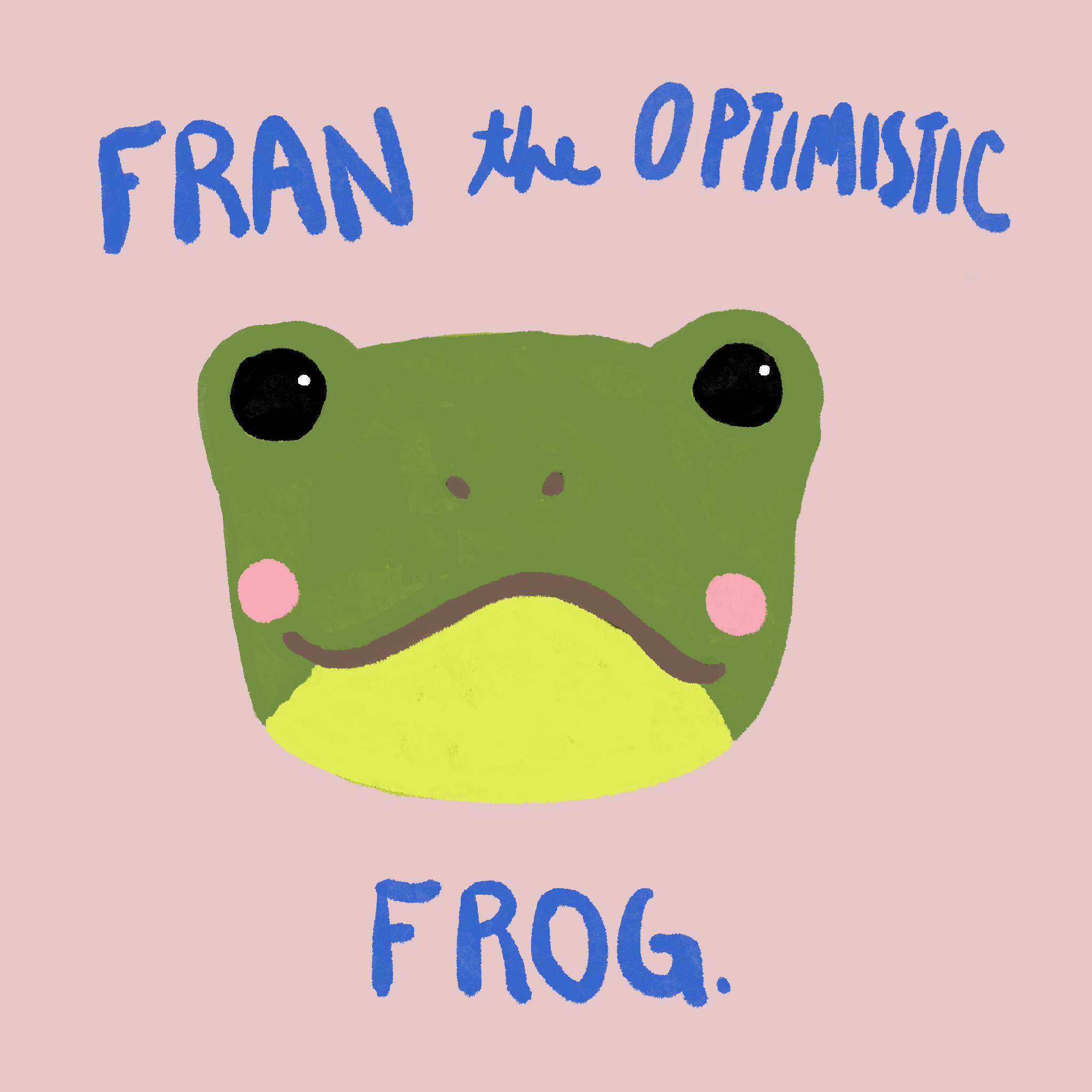 Fran The Optimistic Frog