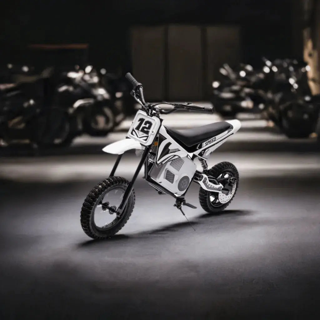 36v Freddo Electric Dirt Bike With Brushless Motor