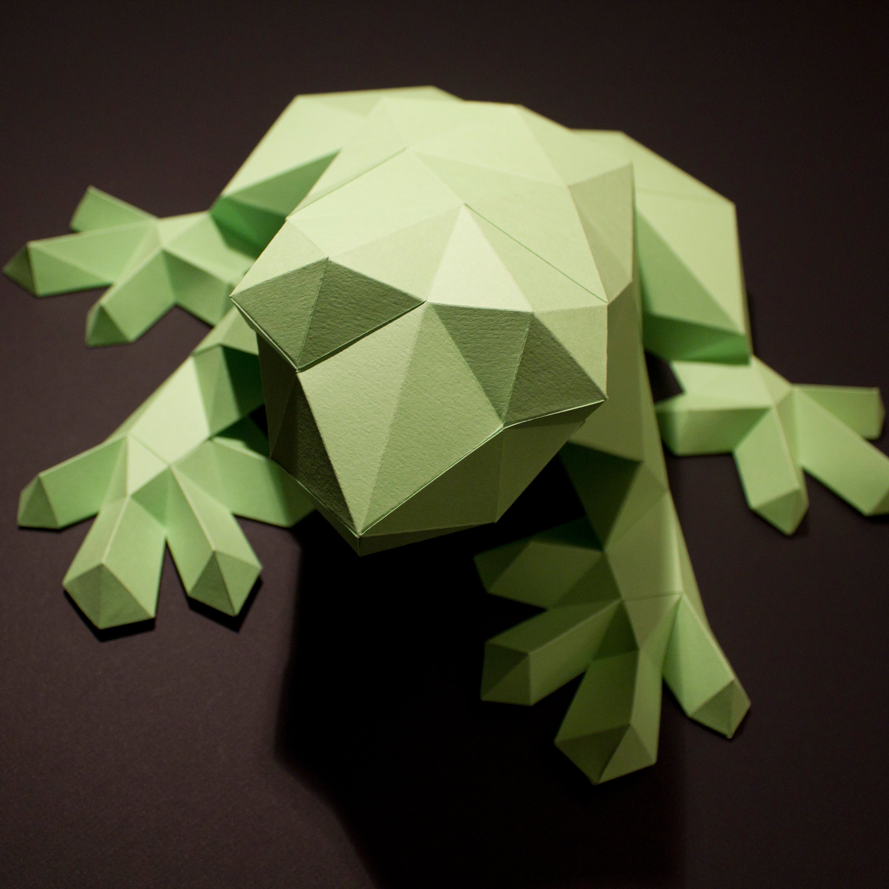 Darius The Frog | Diy Paper Craft Animal Kit