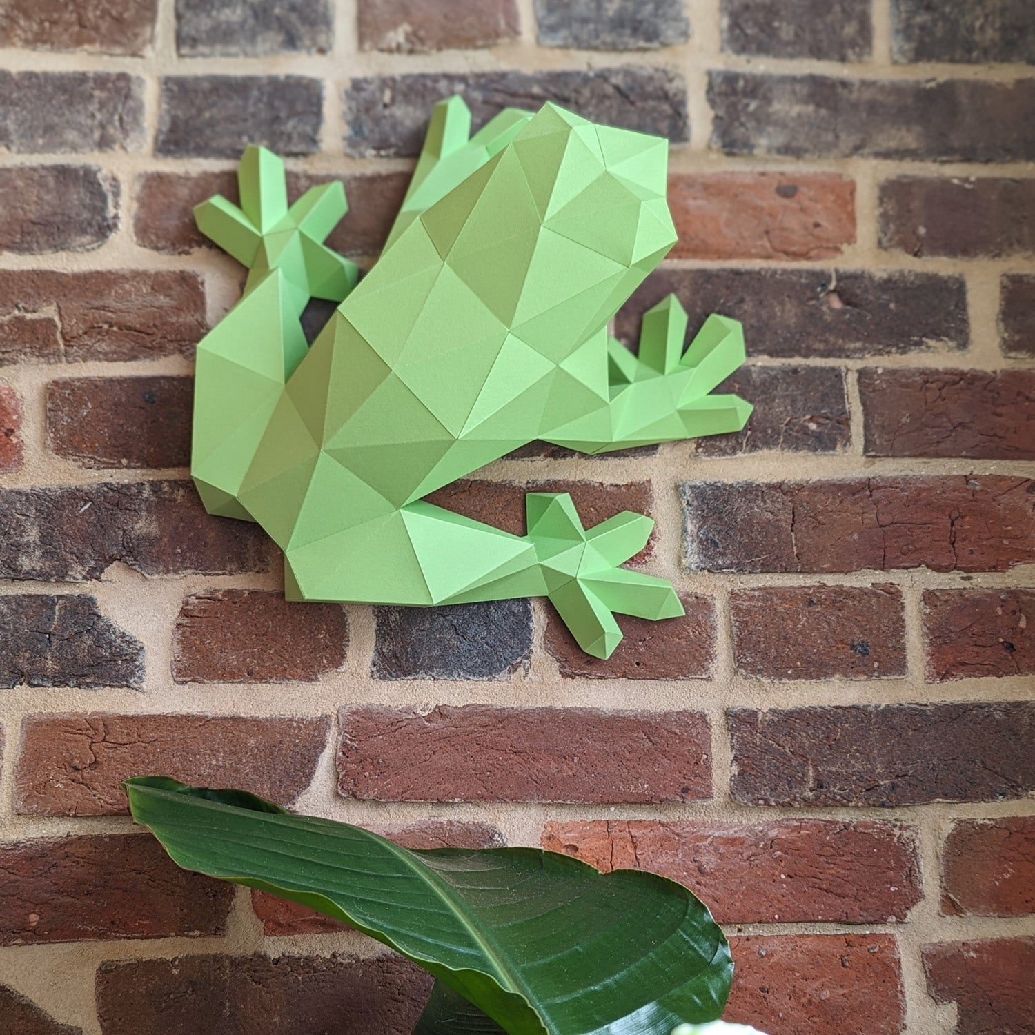 Darius The Frog | Diy Paper Craft Animal Kit