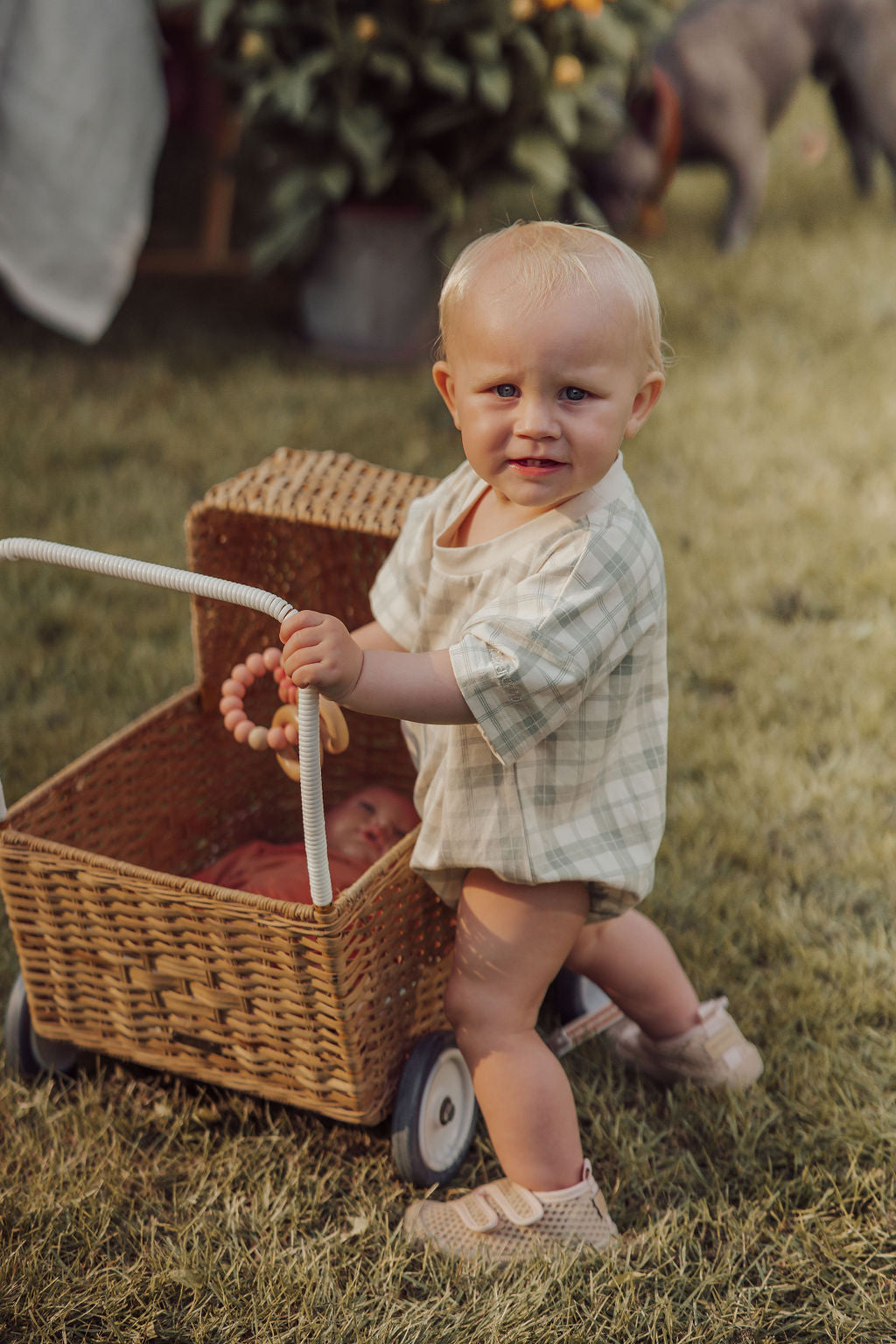 Bubble Romper | Organic Cotton Jersey - Fern Plaid