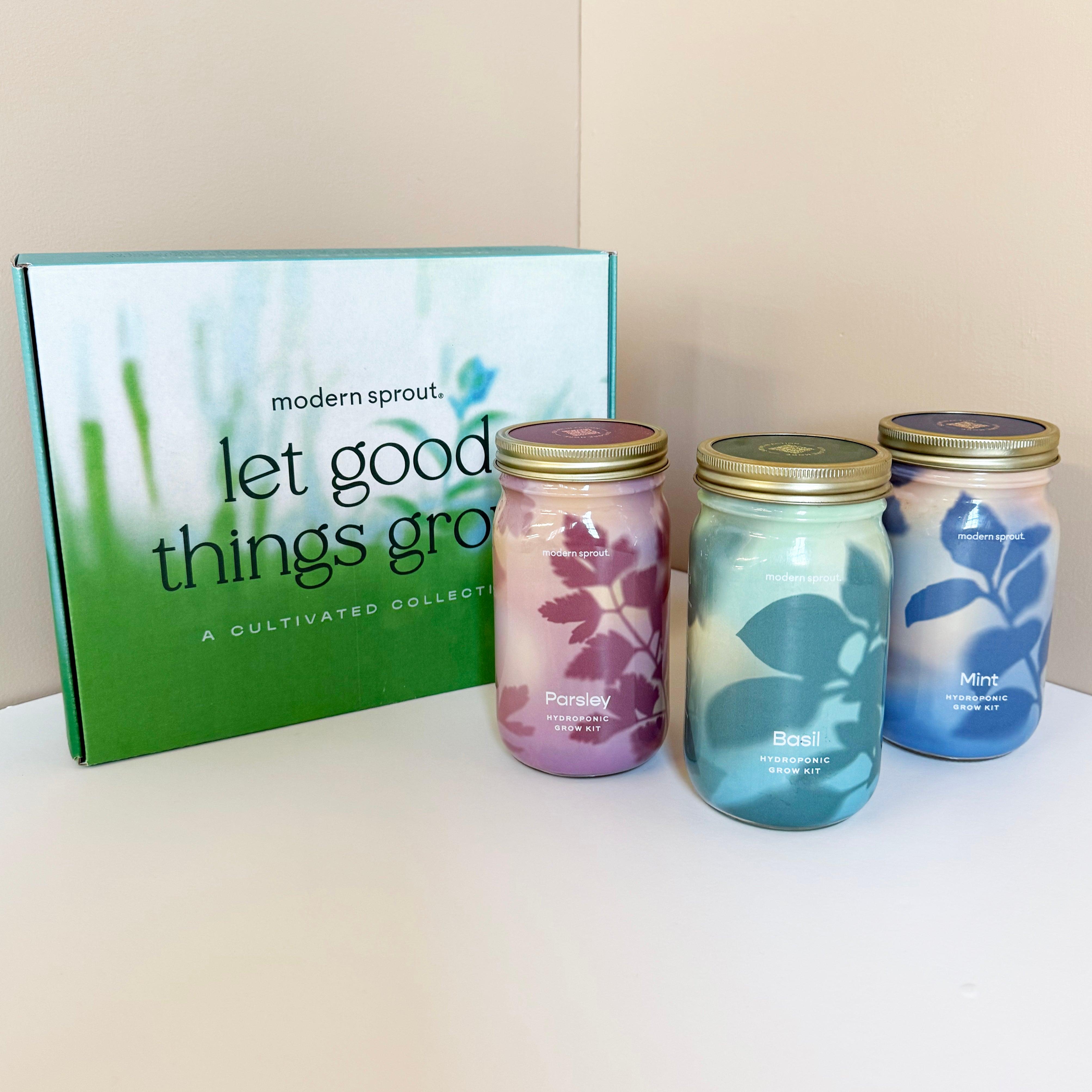 New! Garden Jars - Organic Herbs