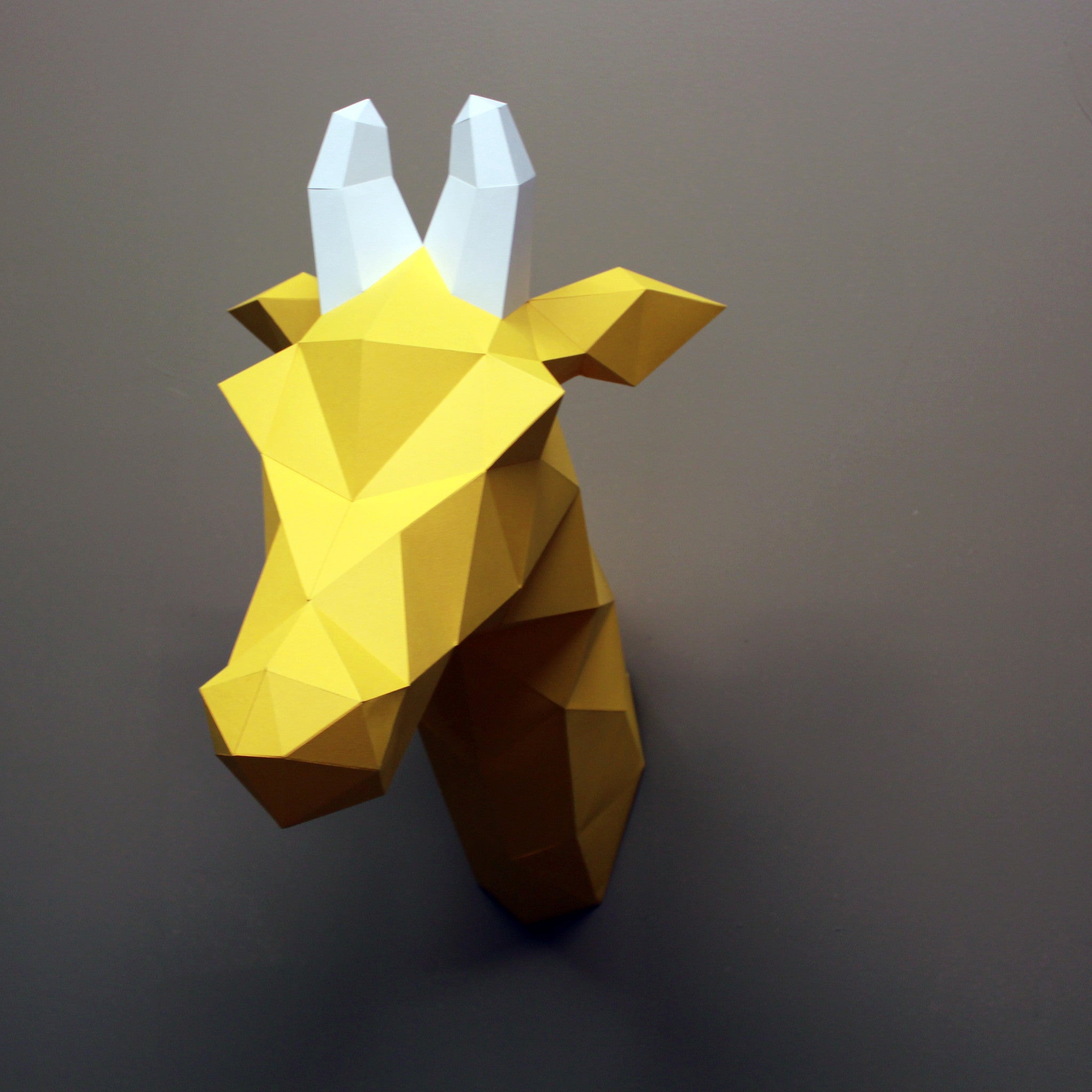 Louise The Giraffe | Diy Paper Craft Animal Kit