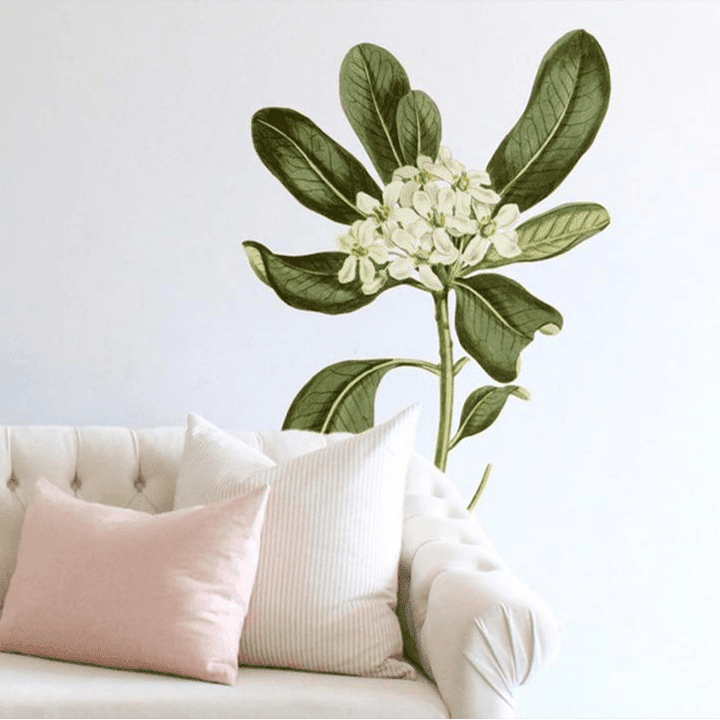 Glossy Leaved Pittosporum Wall Decal