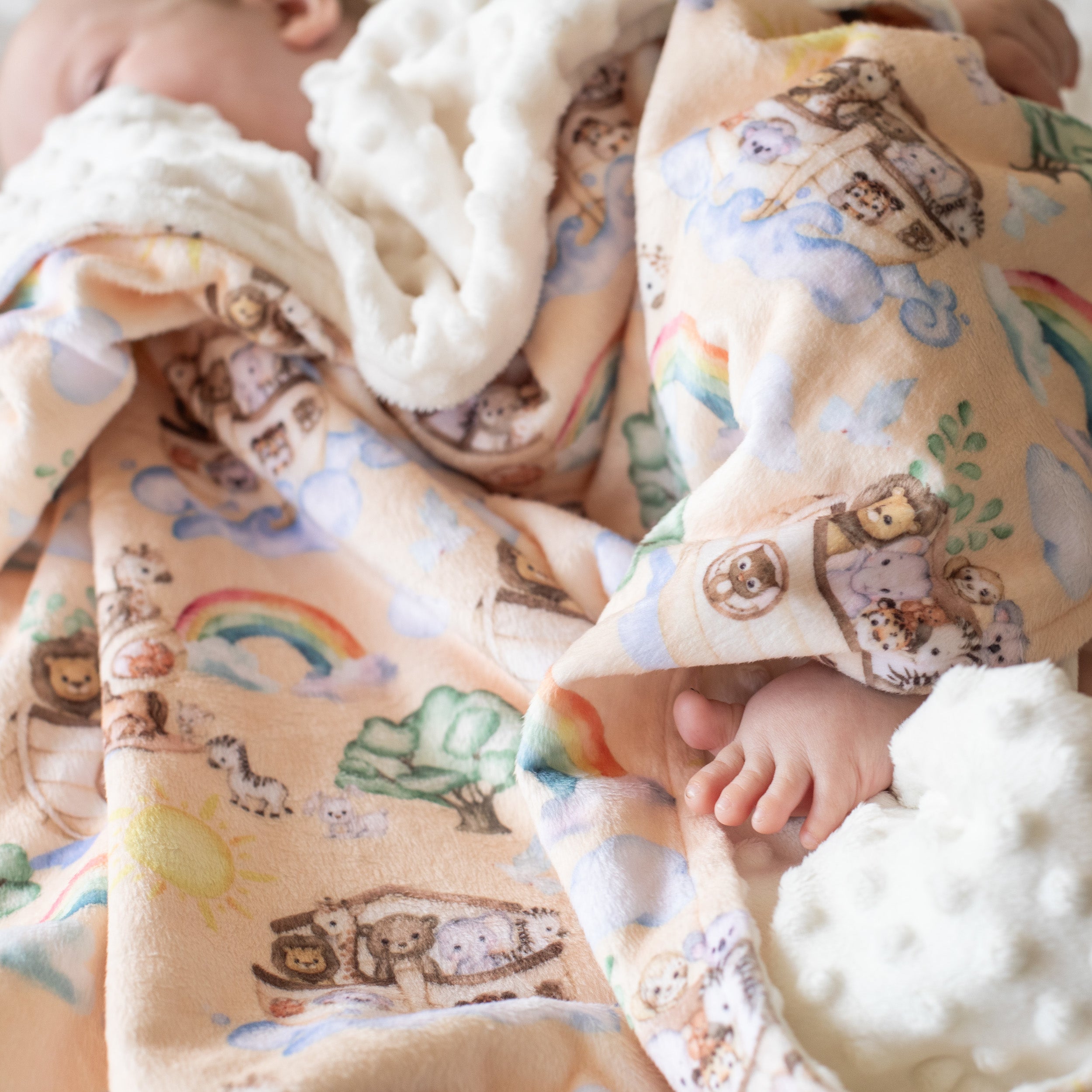 Noah's Ark Minky Baby Blanket