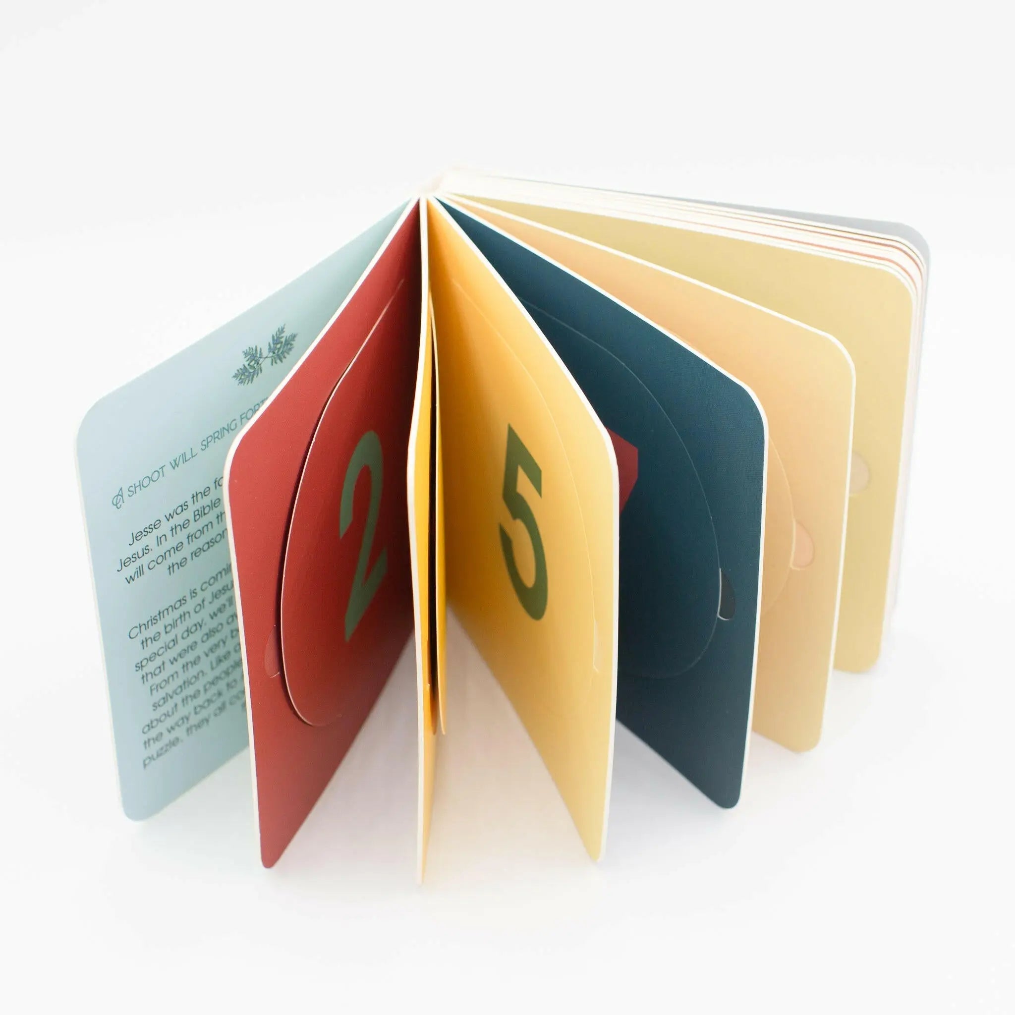 The Jesse Tree: From Creation To Christmas: God's Plan Of Salvation: A Lift-the-flap Journey Through Advent