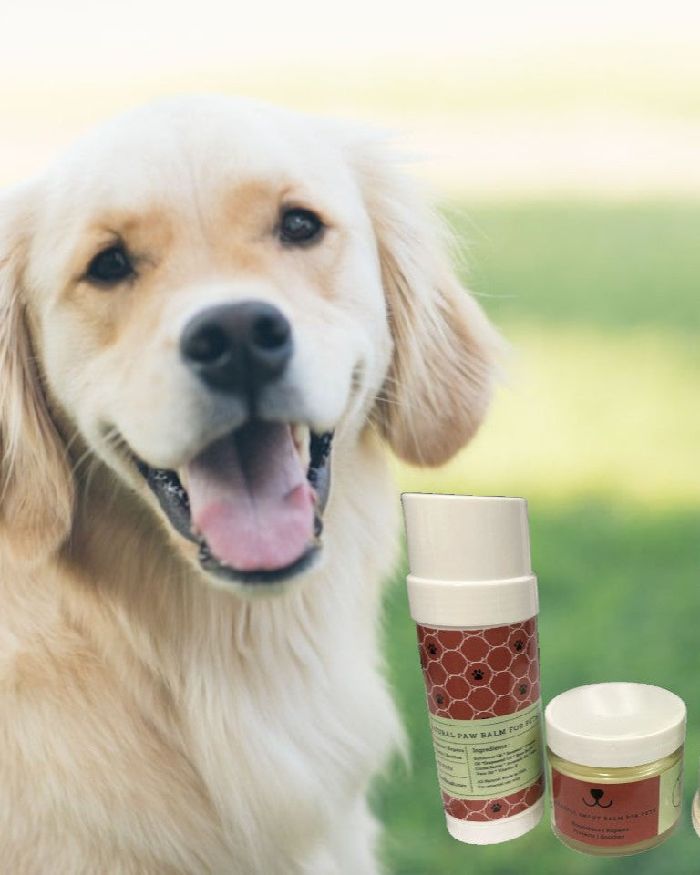 Pet Pampering Gift Box -all-natural Pet Wellness Kit – Soothing Balms & Herbal Coat Powder
