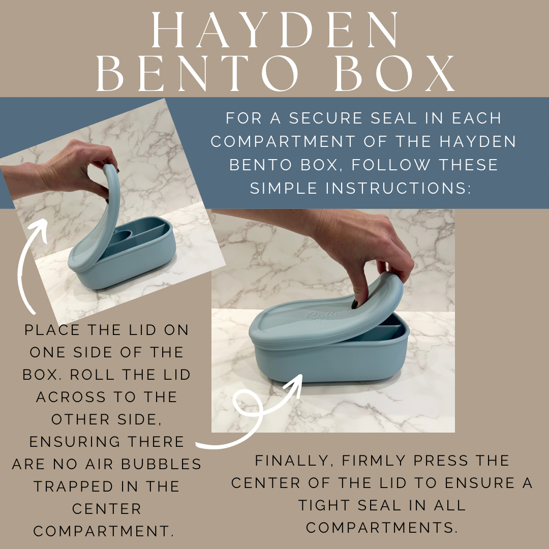 Bolt Hayden Bento Box