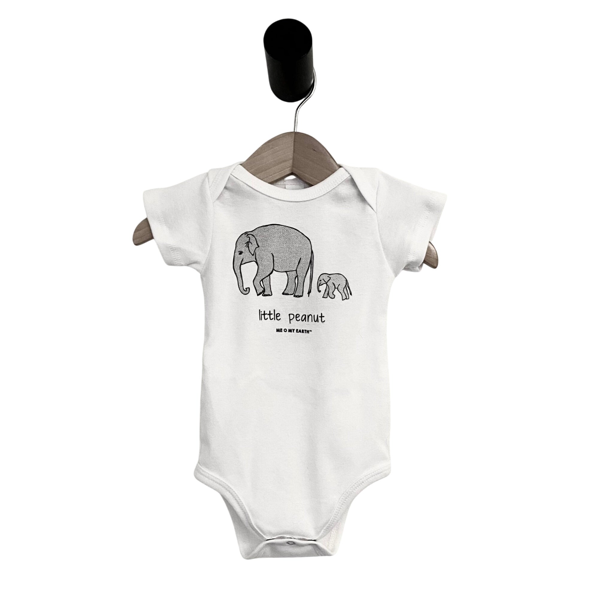 Elephant - Little Peanut