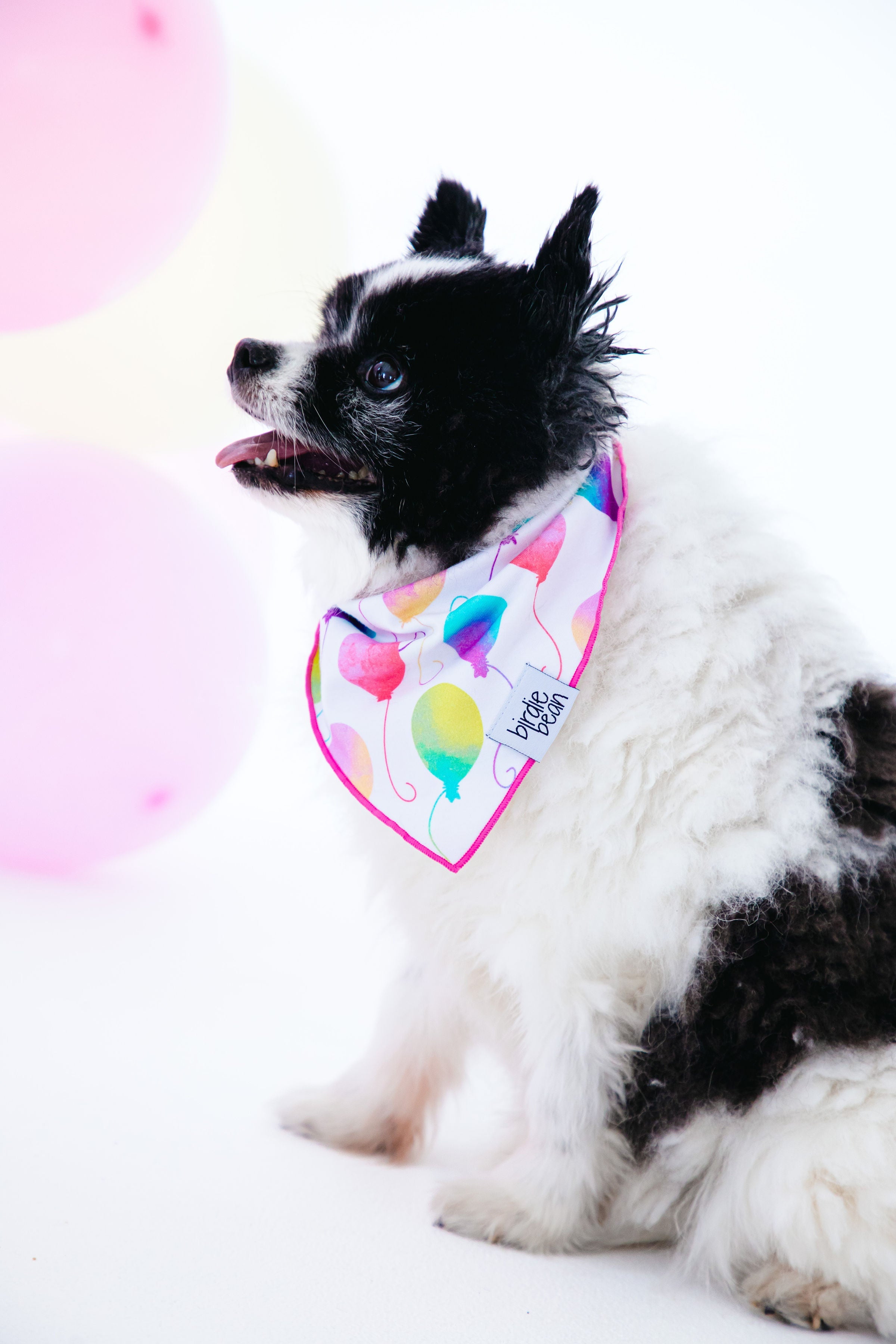 Gia Pet Bandana