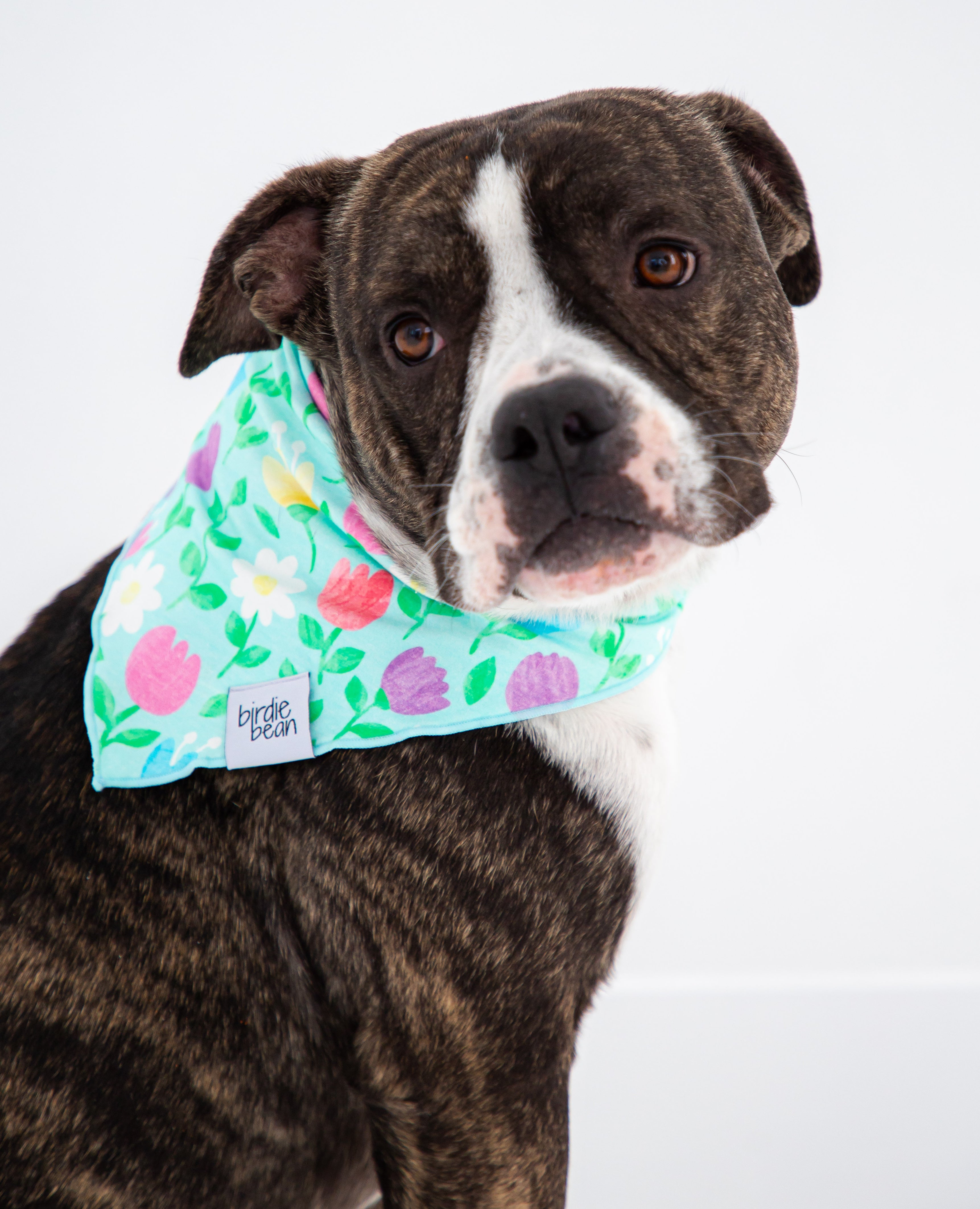 Blossom Pet Bandana