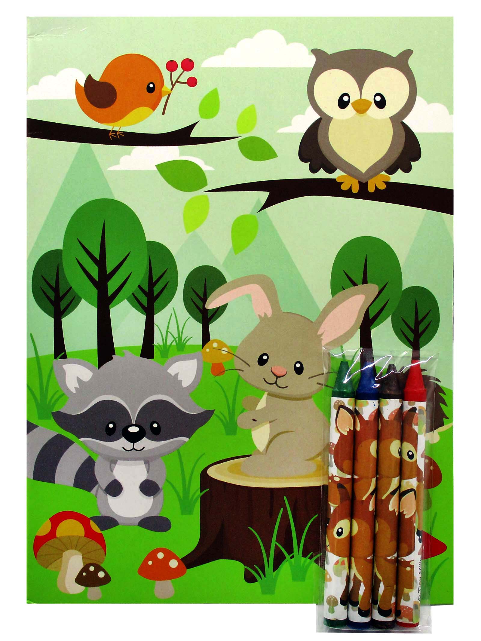 Woodland Animals Coloring Books - Set Of 6 Or 12