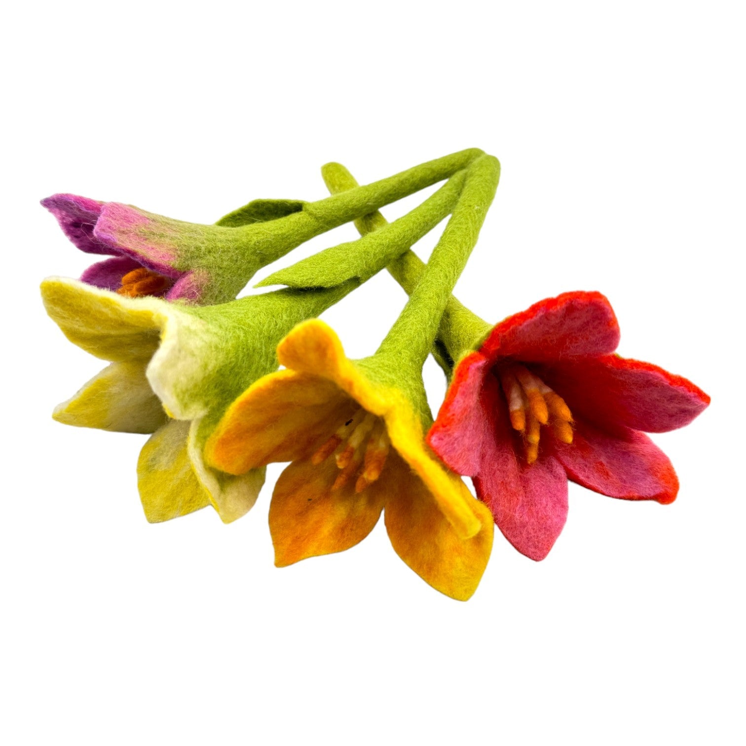 handmade In Nepal 100% Wool Felt Foods Play Set For Pretend Cooking And Farmer's Market Play