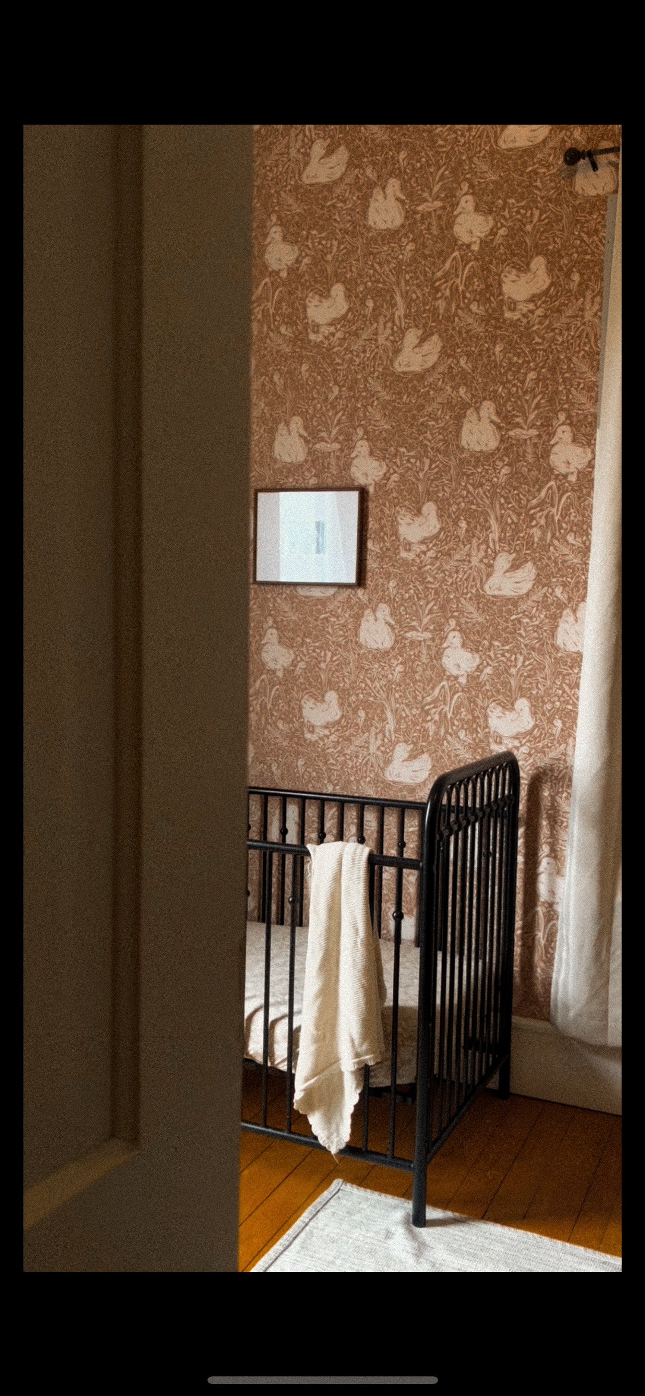 Hollingworth Wallpaper By Aubrey Fairchild