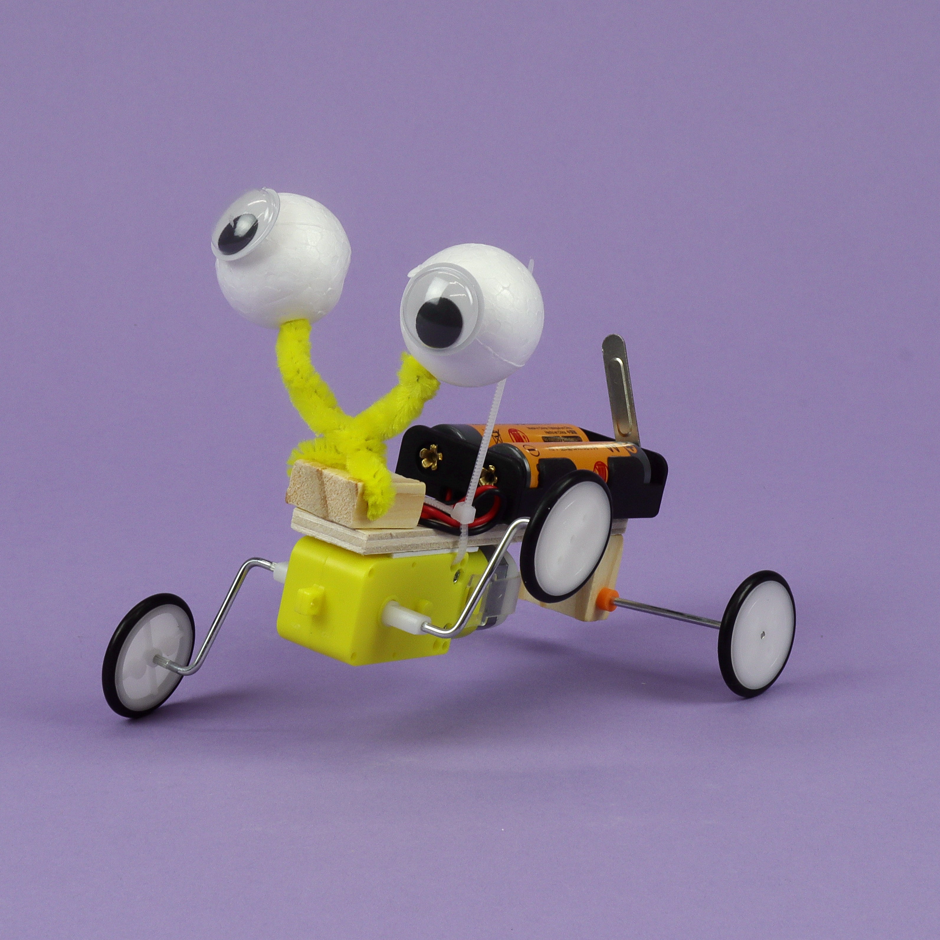 Bug Robot Diy Kit, Educational Stem Toy