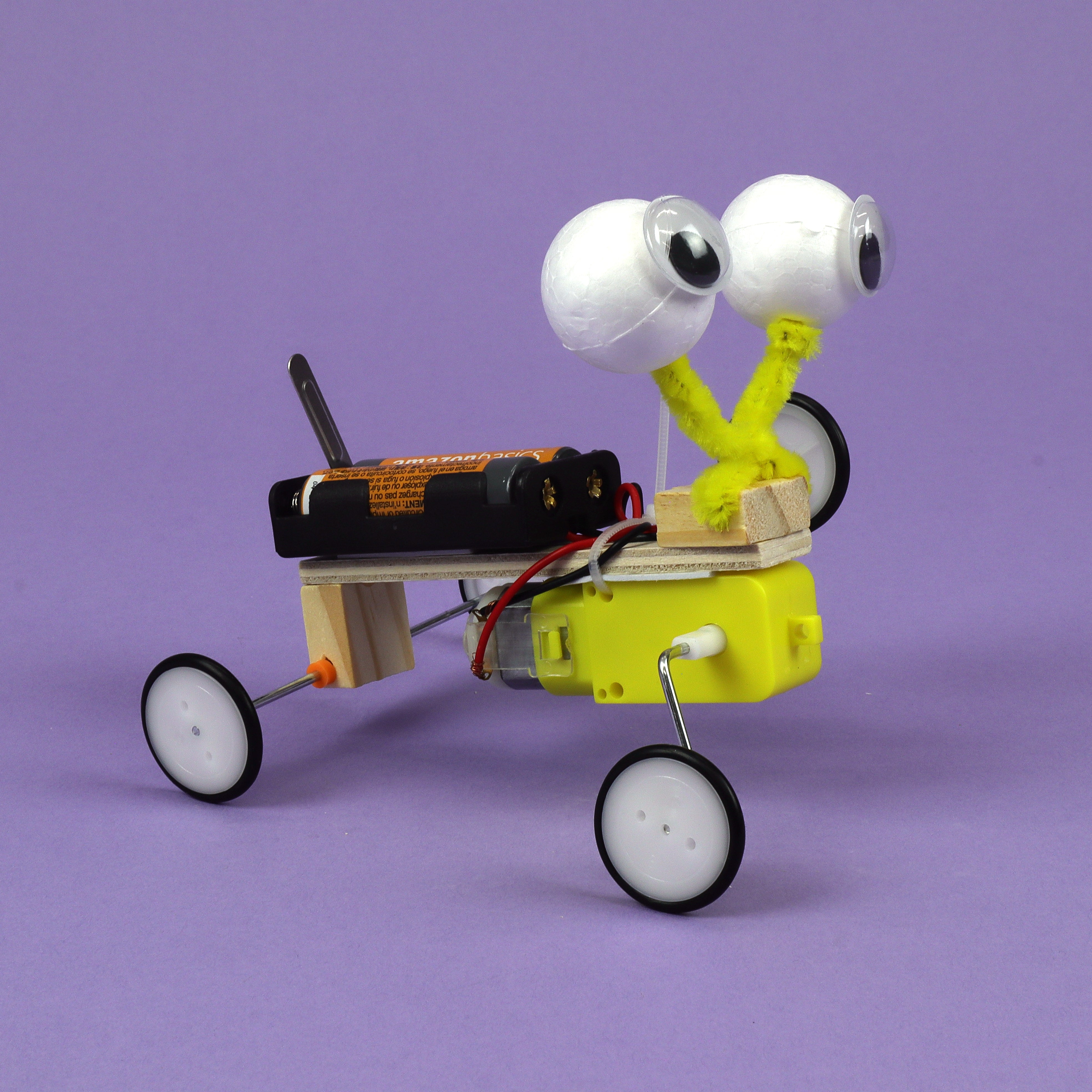 Bug Robot Diy Kit, Educational Stem Toy