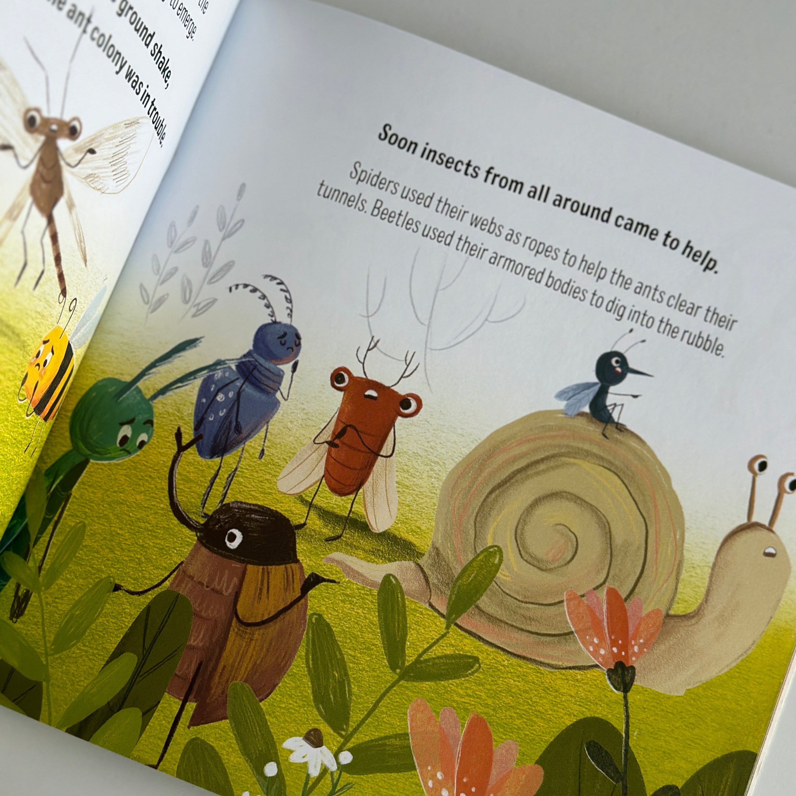 All Together By Jenny Molendyk | Children's Book