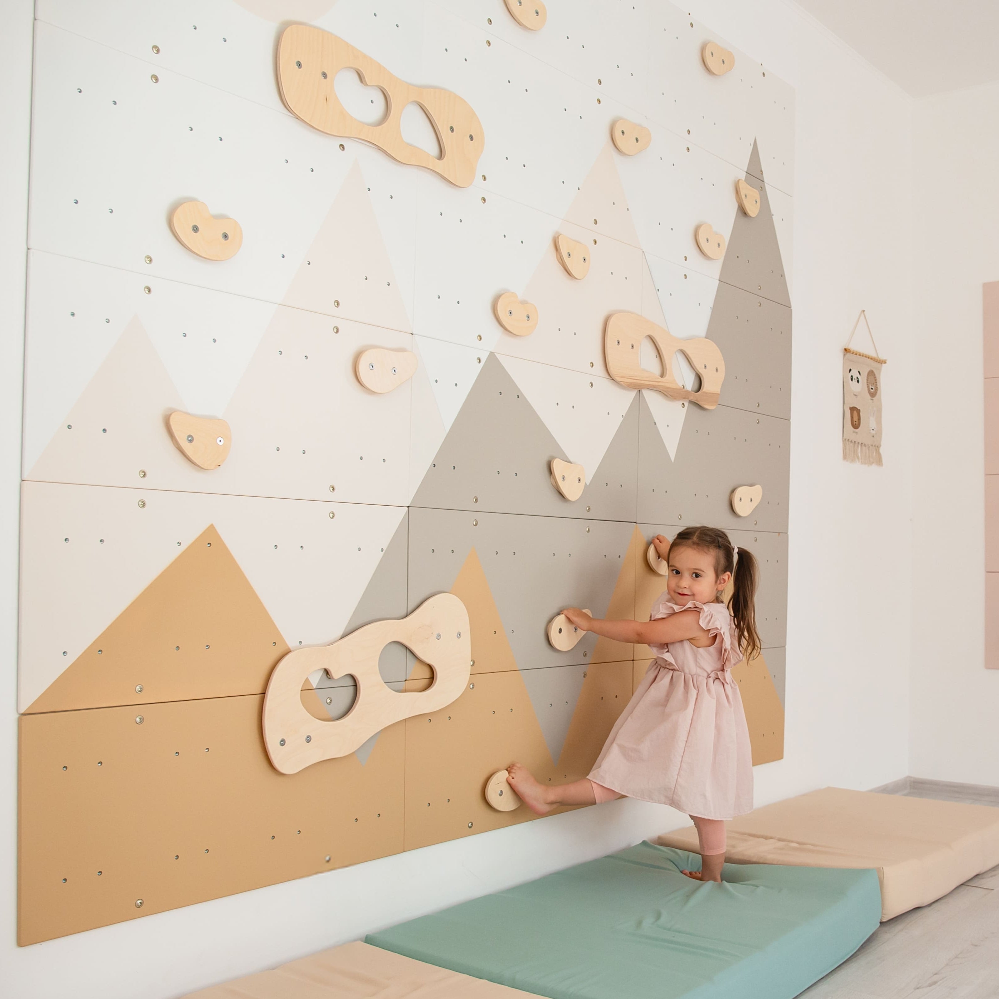 Indoor Climbing Wall