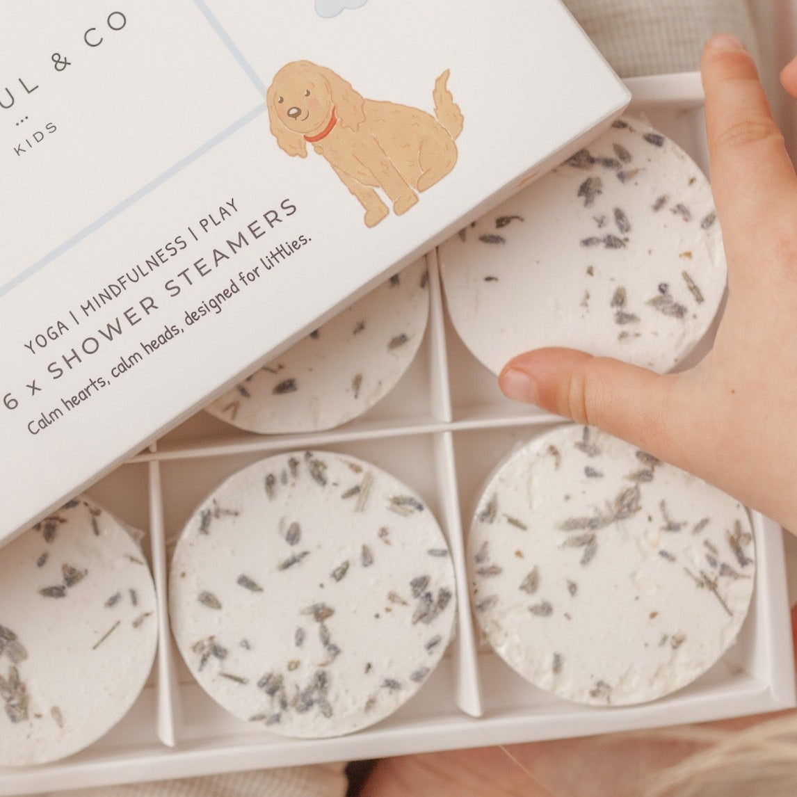 Buddies Bedtime Bundle