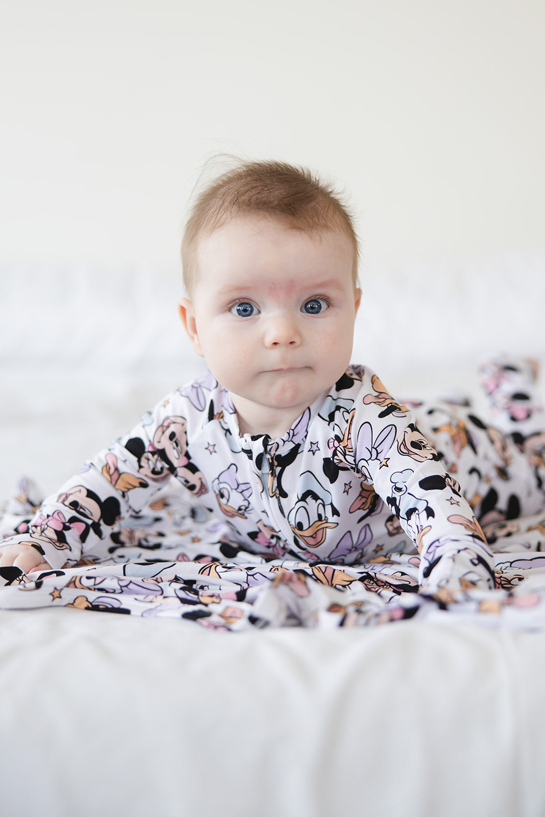 Sensational Six - Zippy