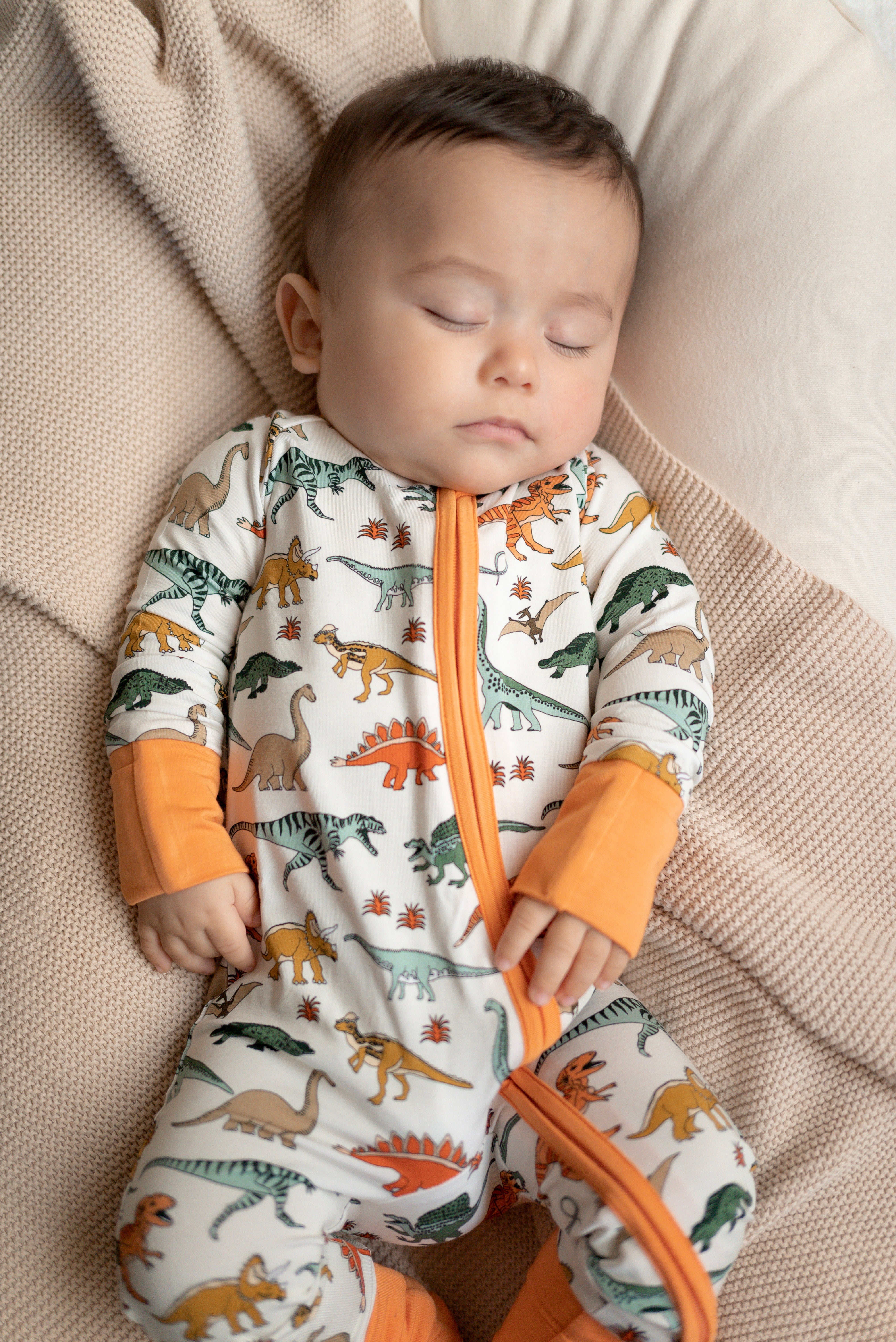 Boho Dinosaur | Zippy