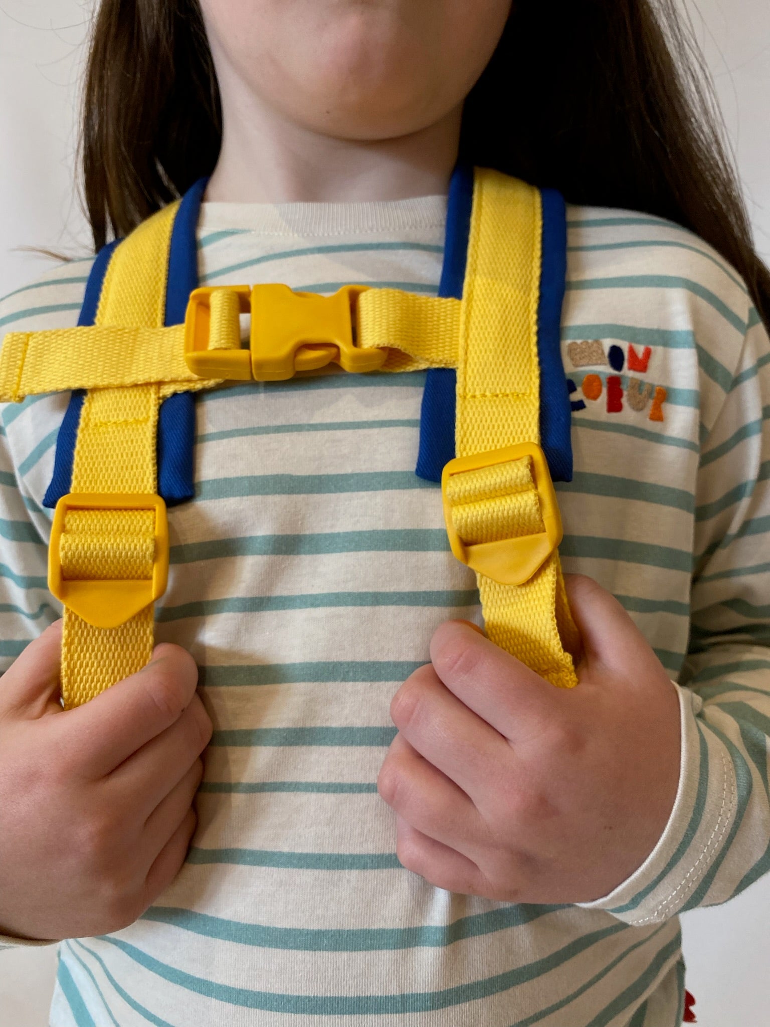 Recycled Backpack
