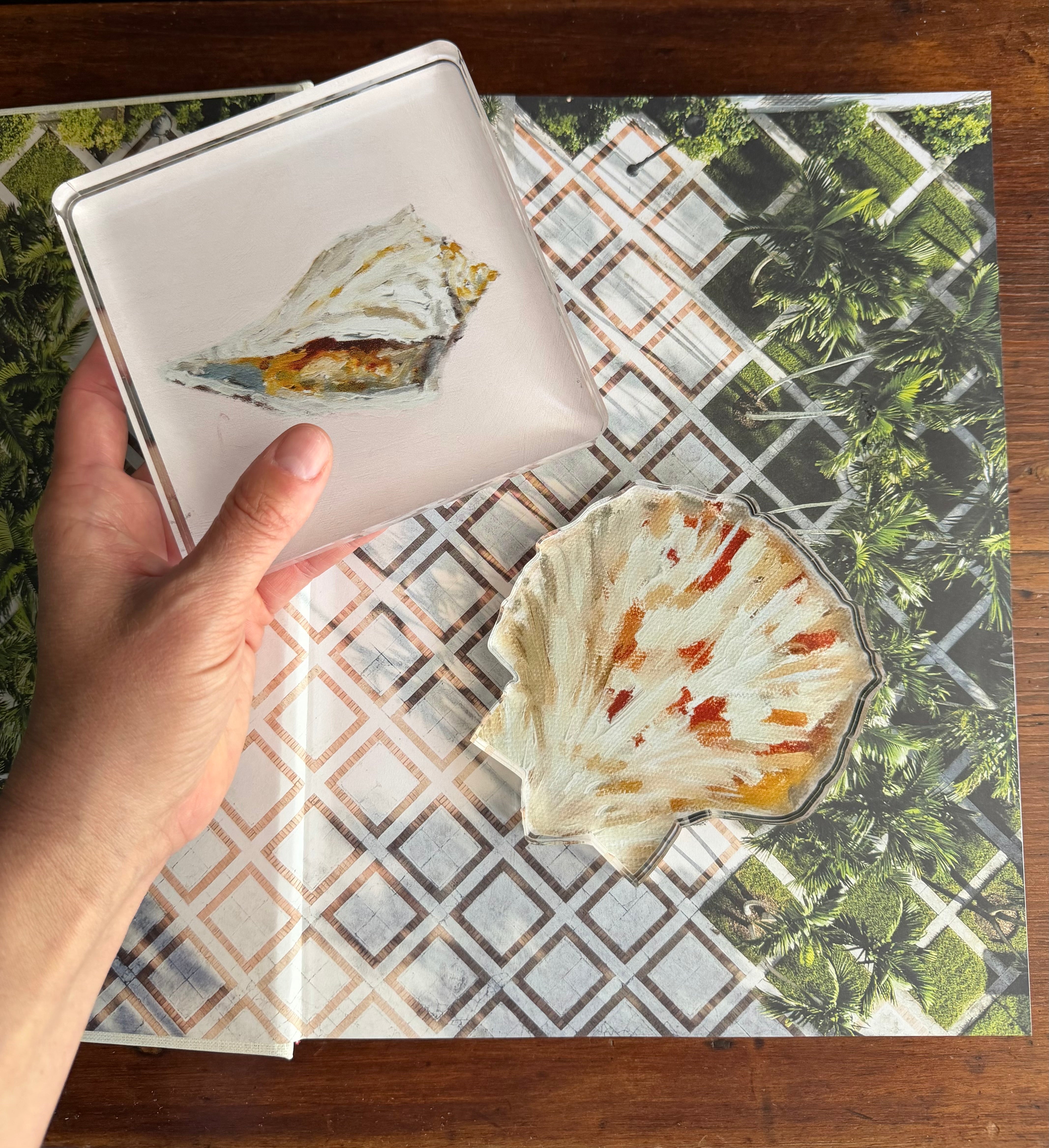 Cockle Cut-out Acrylic Art Block