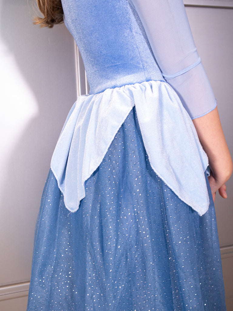 The Blue Sleeping Princess Dress