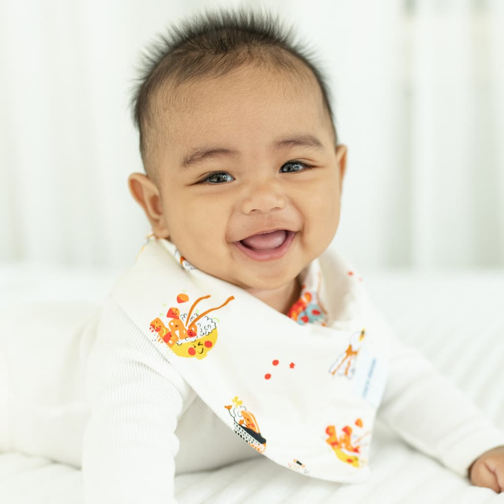 Island Mixed Plate Bib