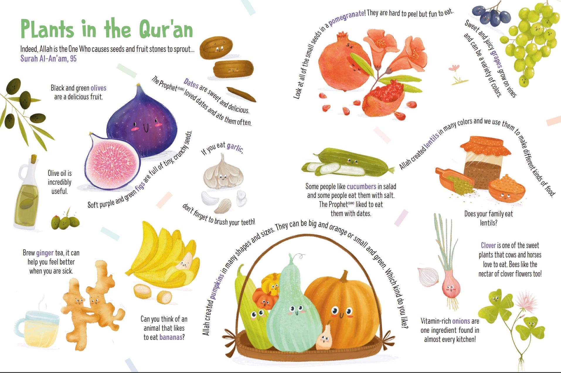 First Words From The Quran | Children's Islamic Board Book