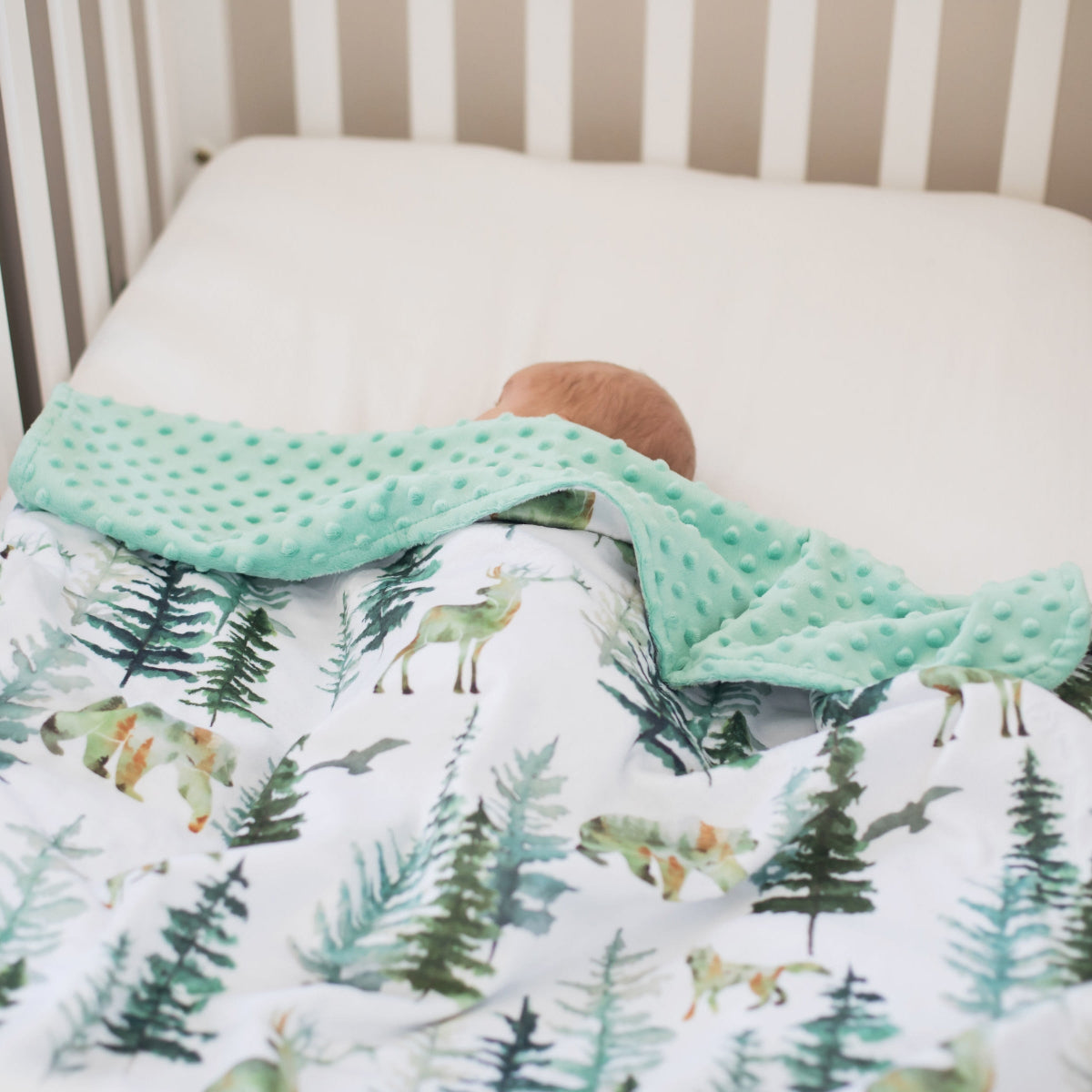 In The Woods Minky Baby Blanket
