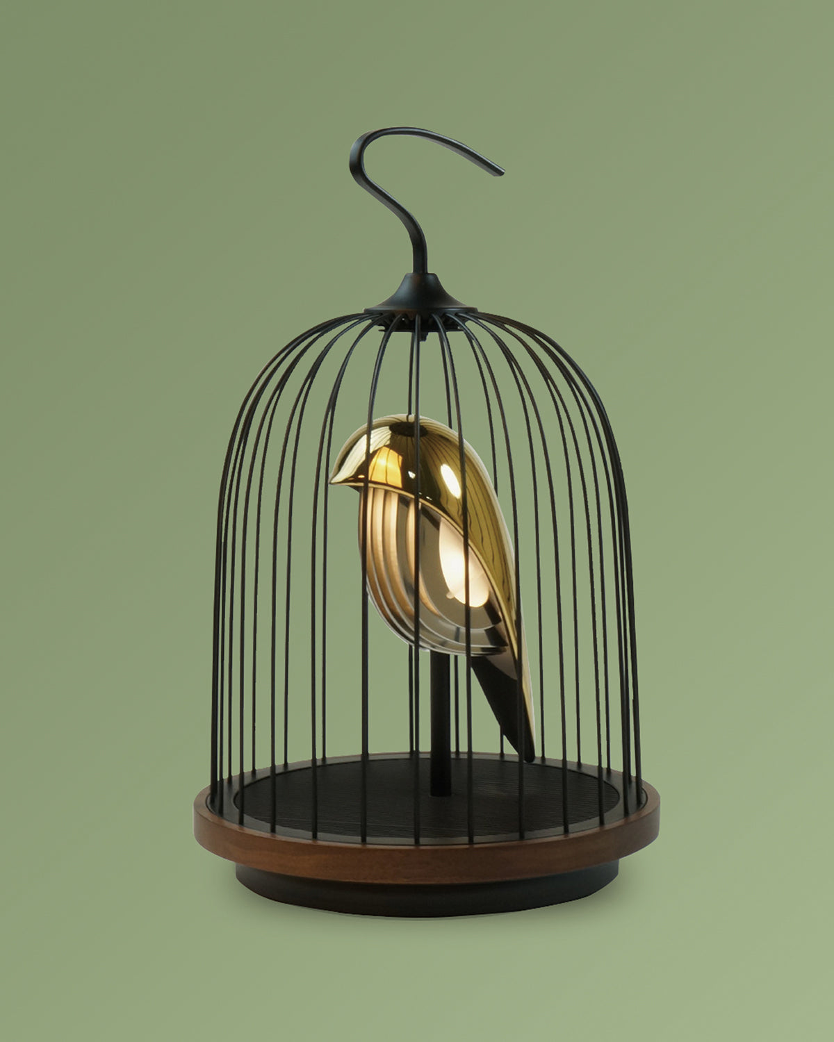 Bluetooth Speaker + Light Jingoo The Phoenix