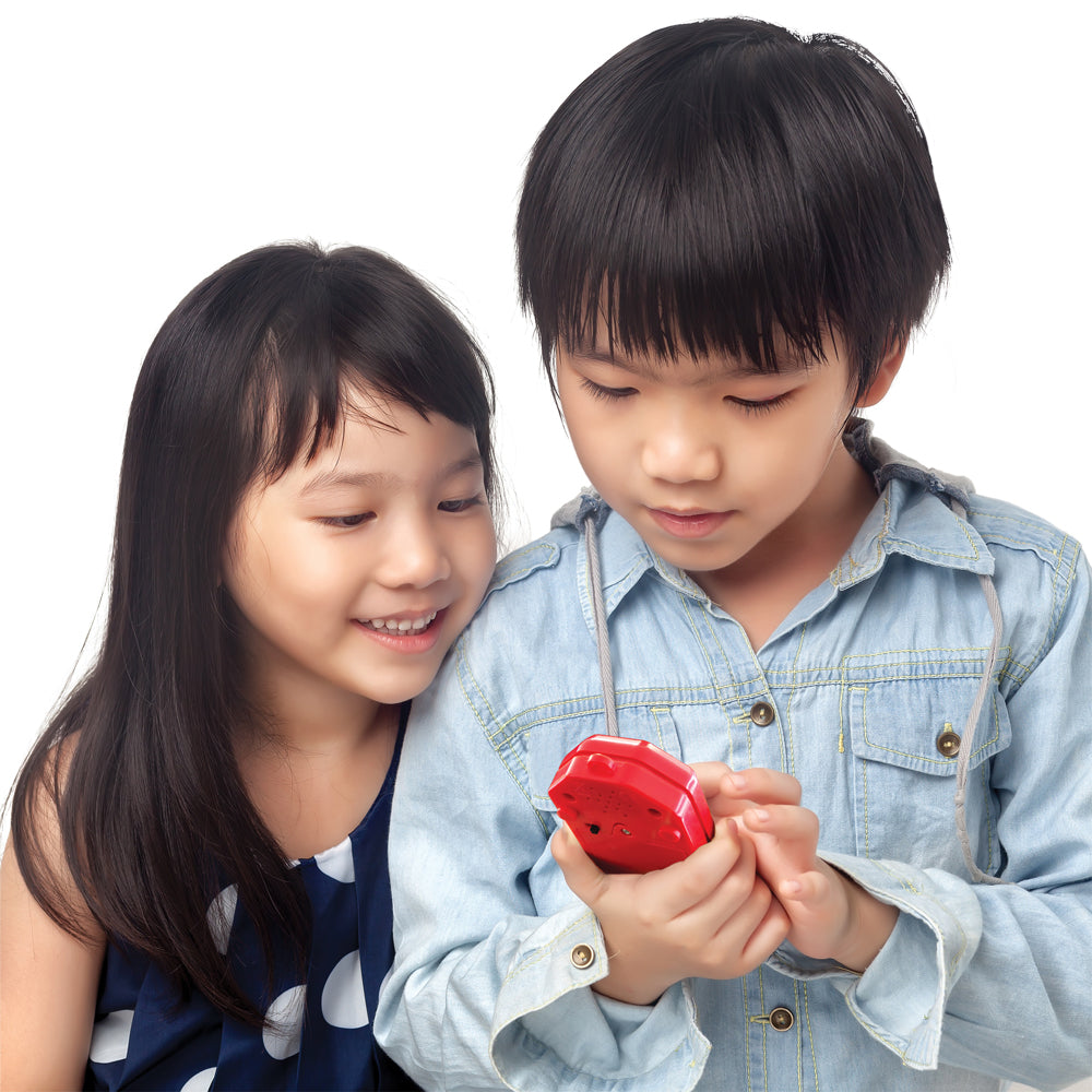 Rainbow Recorders (set Of 4)