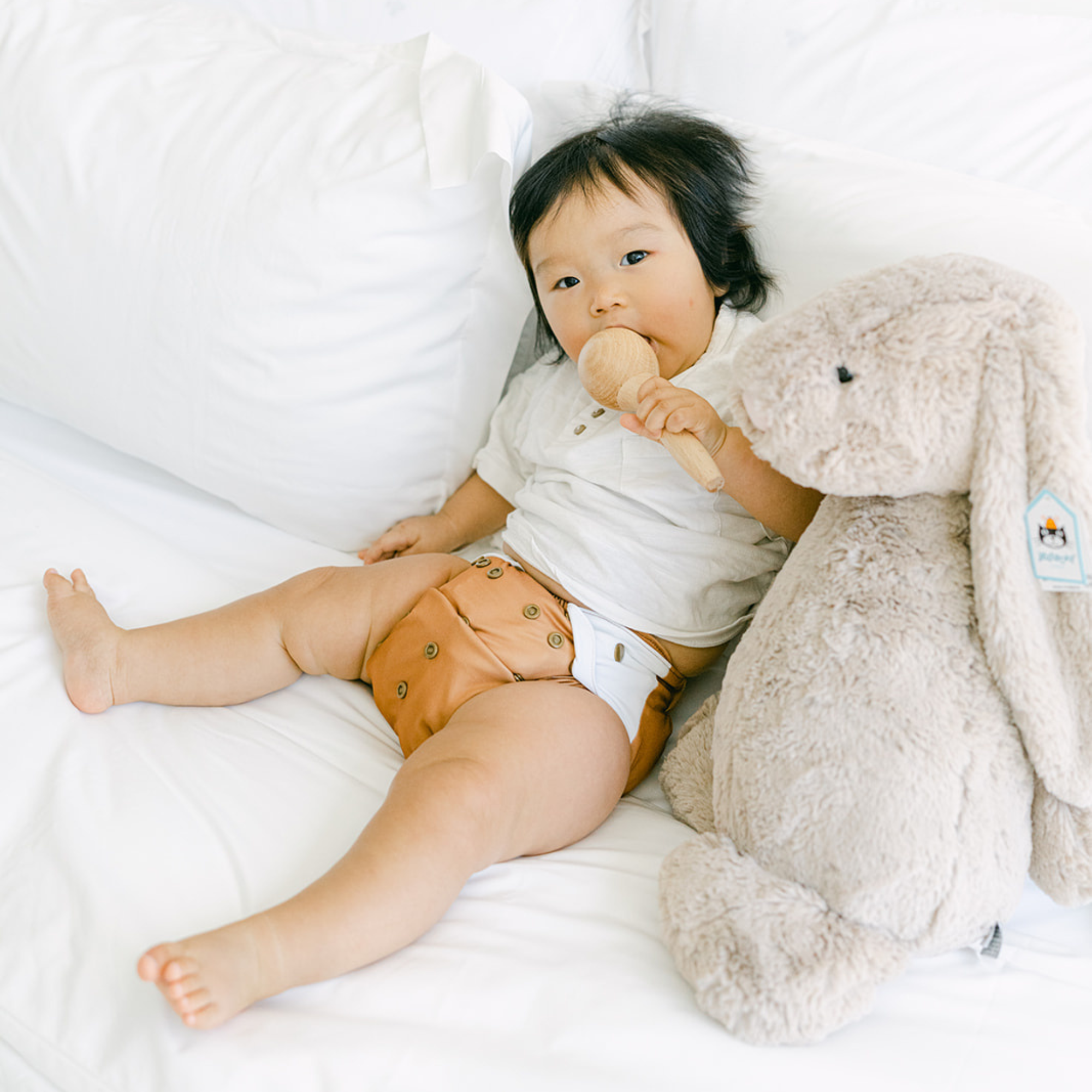 Cloth Diapers - Nature Collection - Single Diaper Set + Inserts