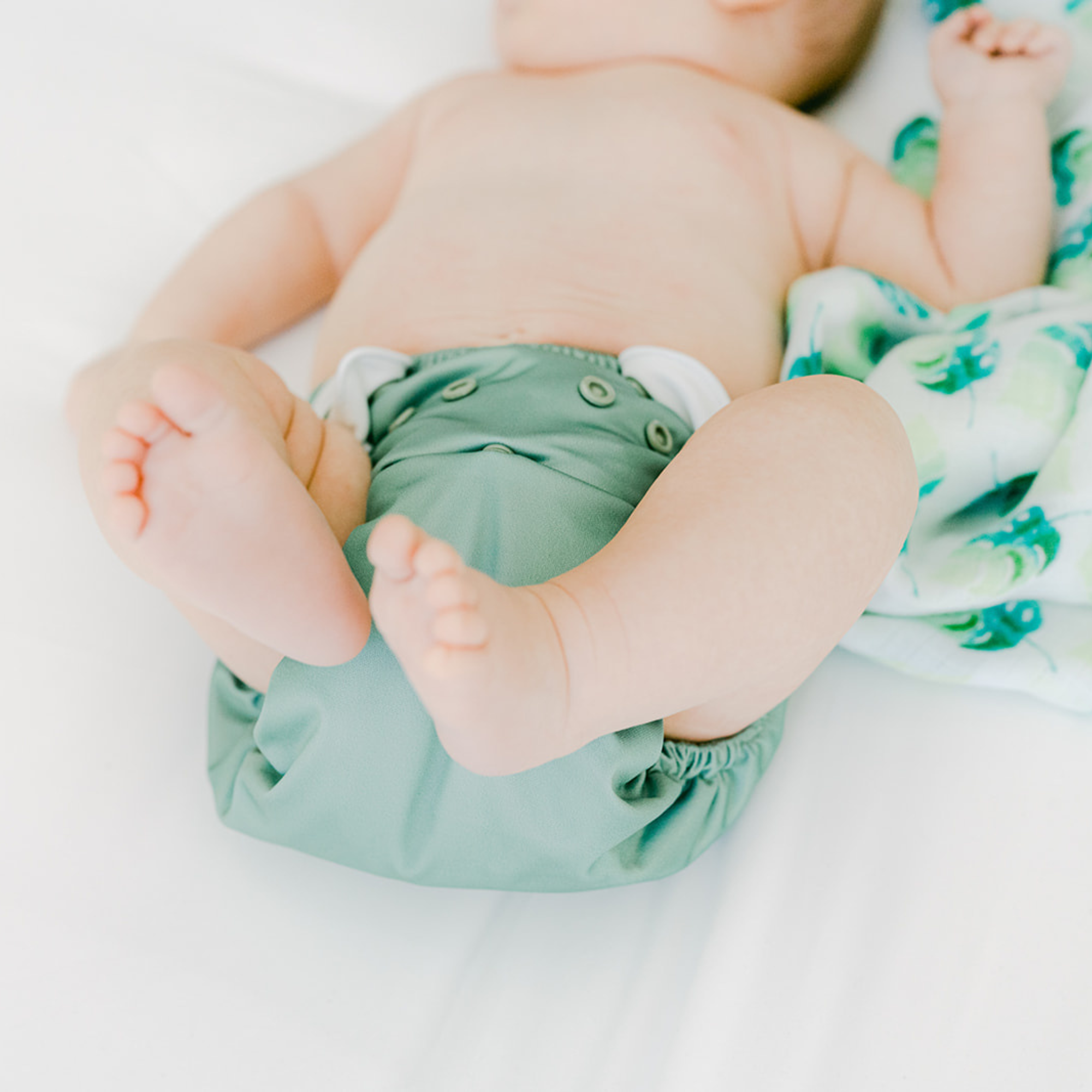 Cloth Diapers - Nature Collection - Single Diaper Set + Inserts