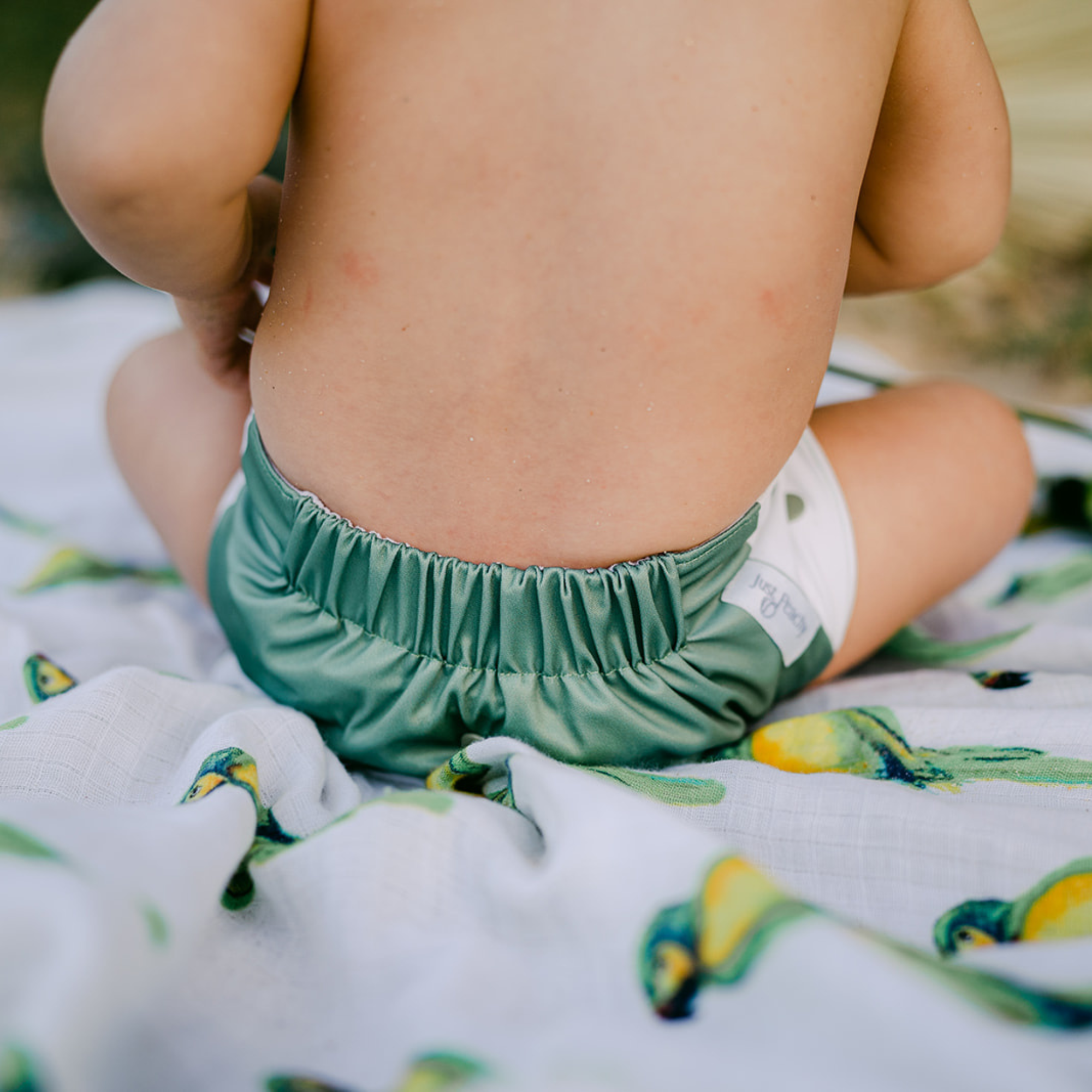 Cloth Diapers - Nature Collection - Single Diaper Set + Inserts