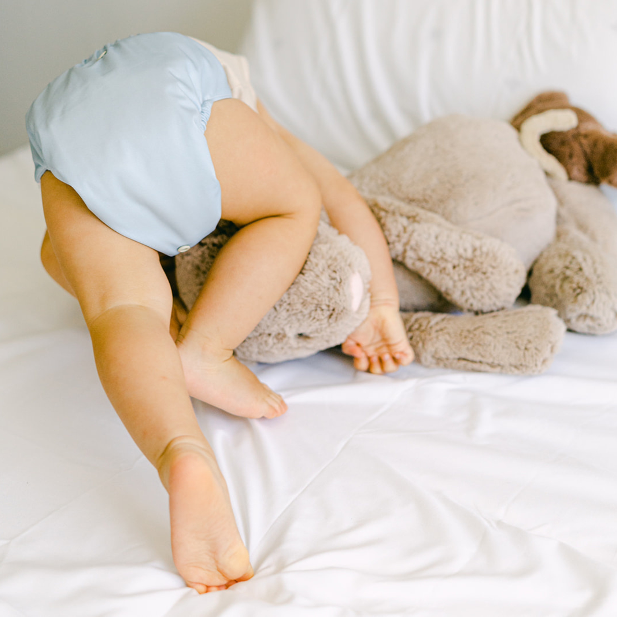 Cloth Diapers - Nature Collection - Single Diaper Set + Inserts