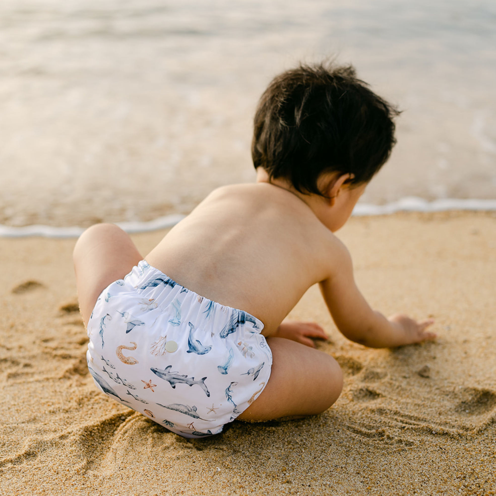 Cloth Diapers - Nature Collection - Single Diaper Set + Inserts